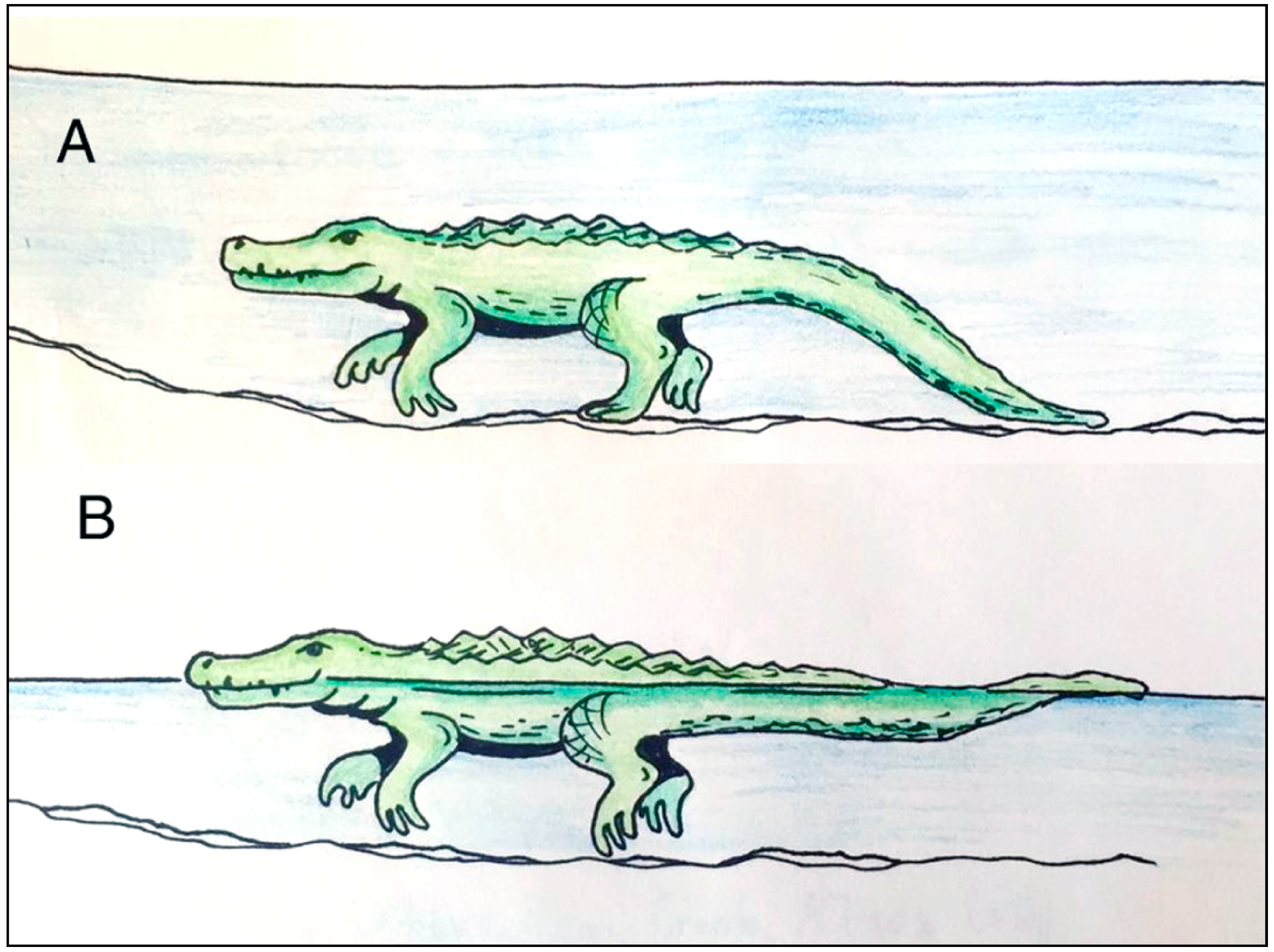 Geosciences 09 00321 g015 Geosciences 09 00321 g015