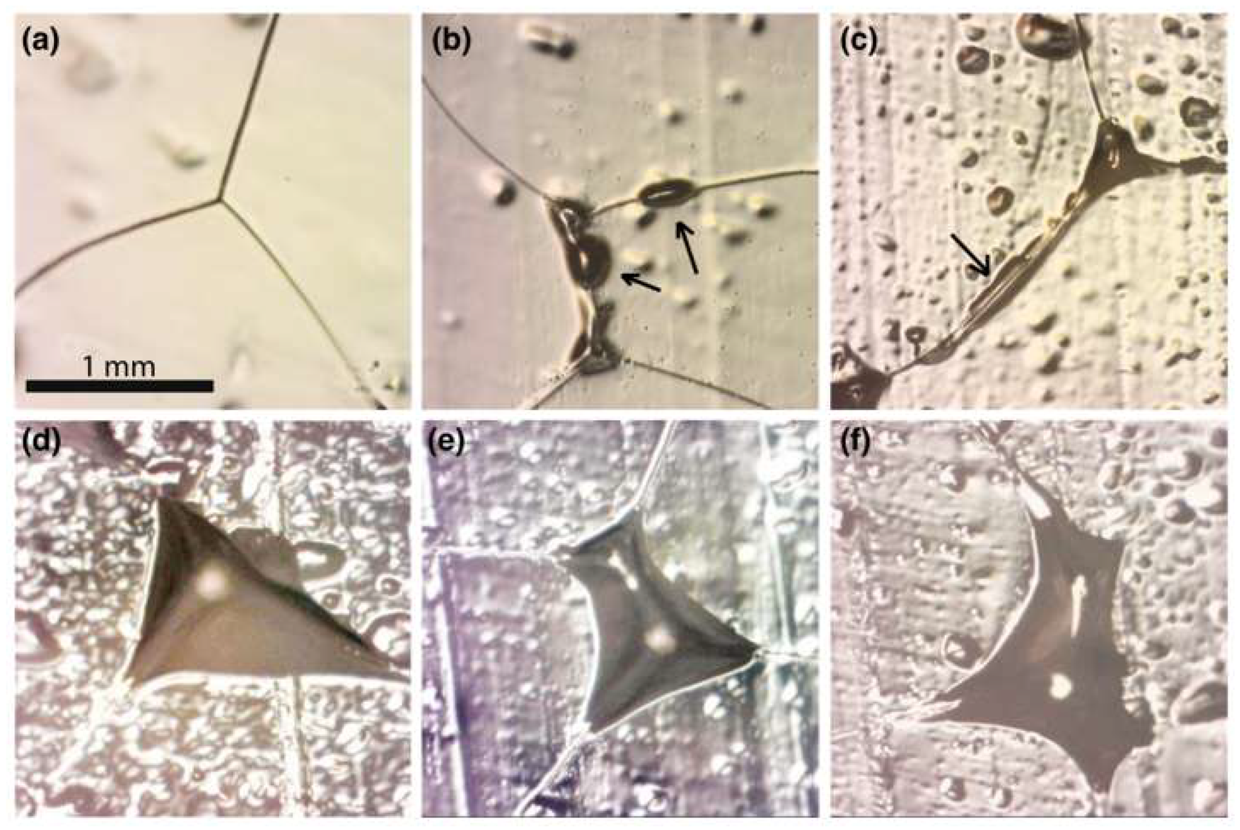 Geosciences 09 00327 g006