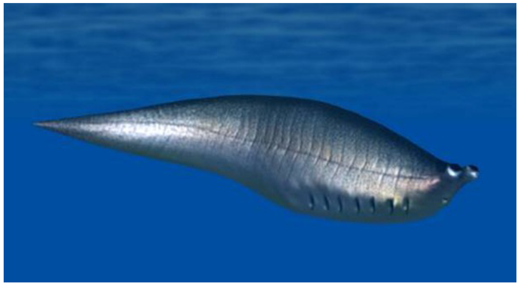 Geosciences 09 00354 g002