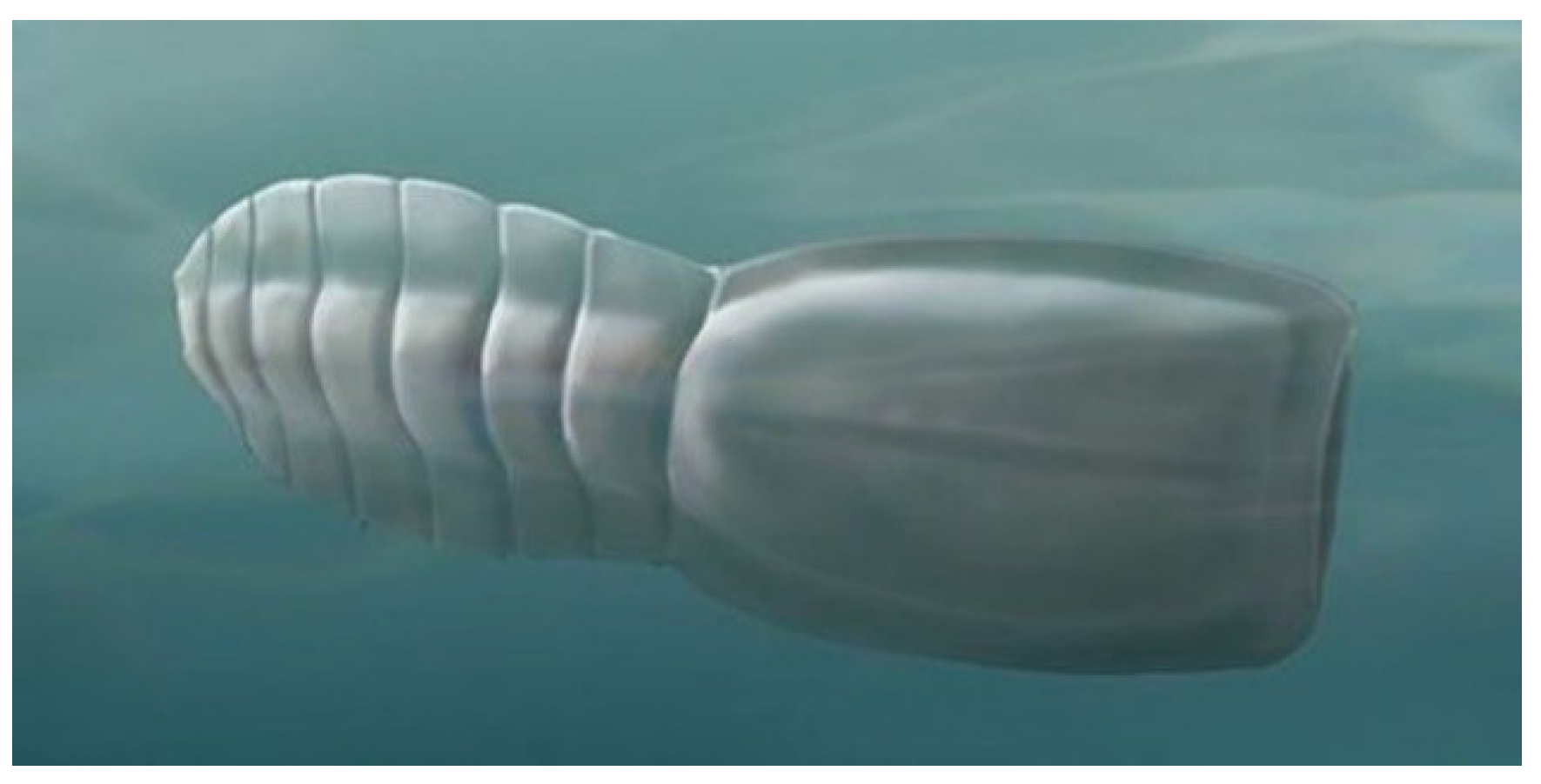 Geosciences 09 00354 g009