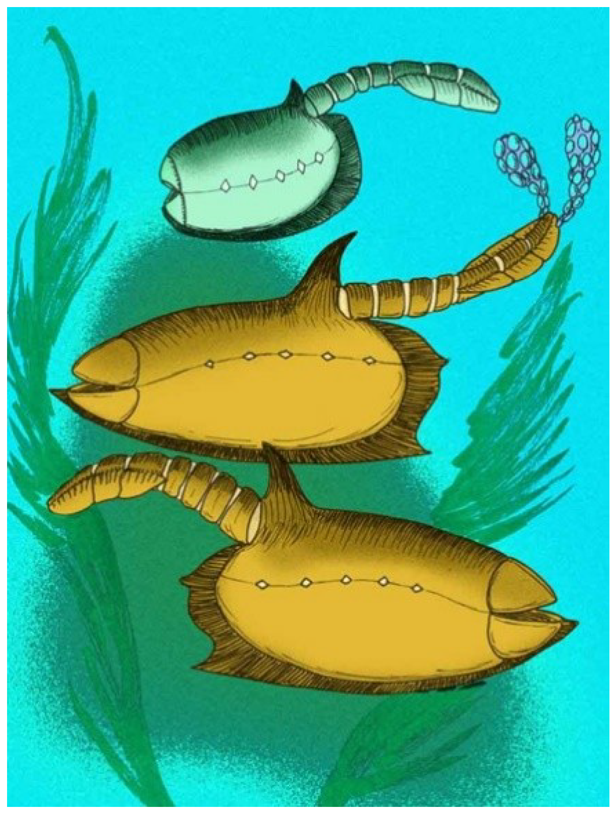 Geosciences 09 00354 g012