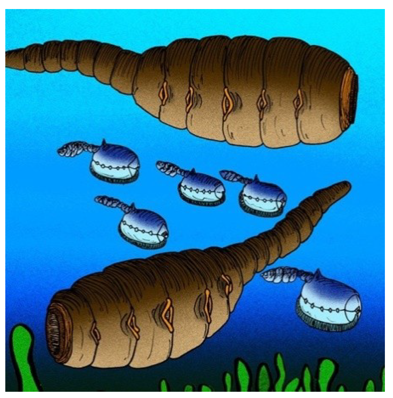 Geosciences 09 00354 g013