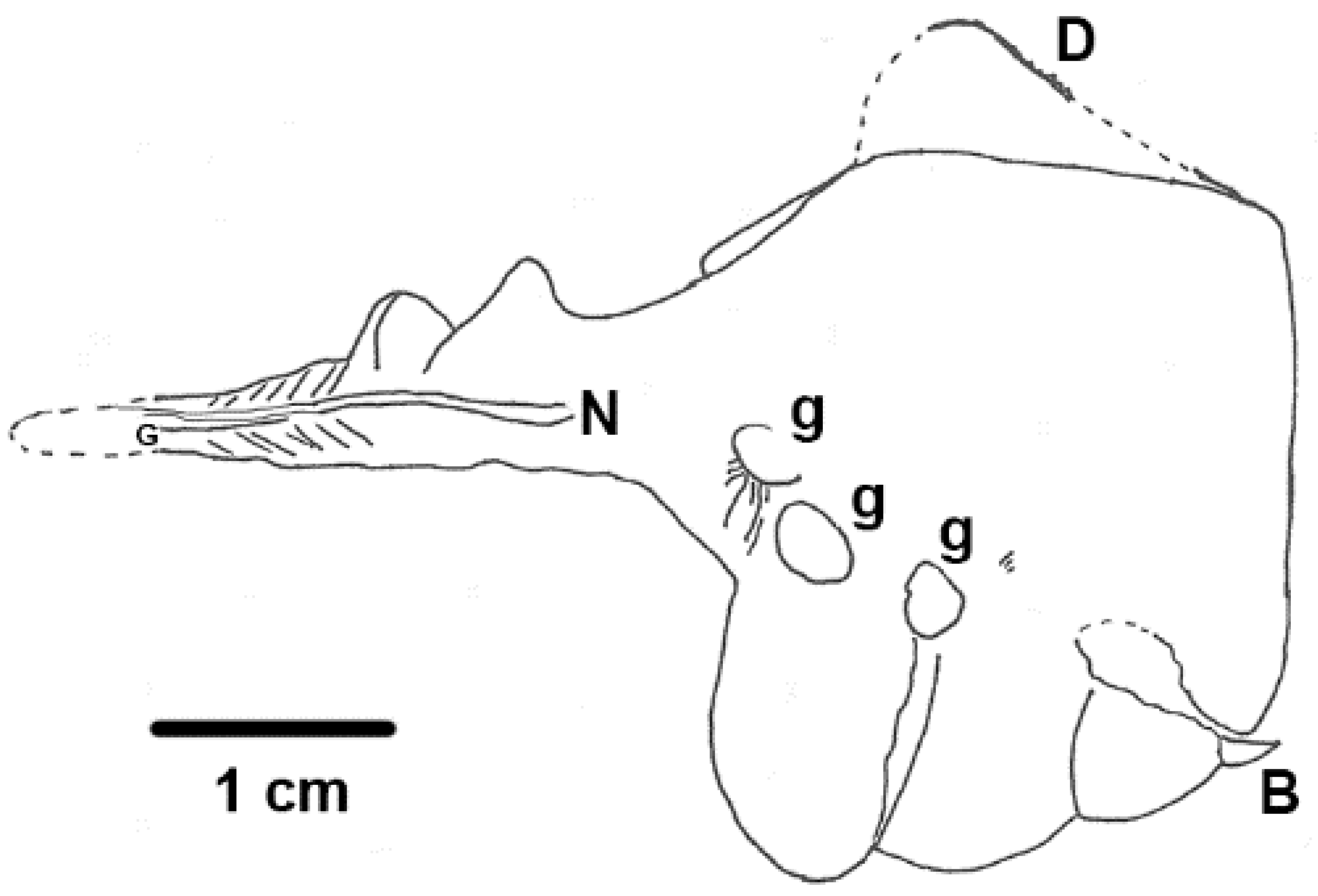 Geosciences 09 00354 g015