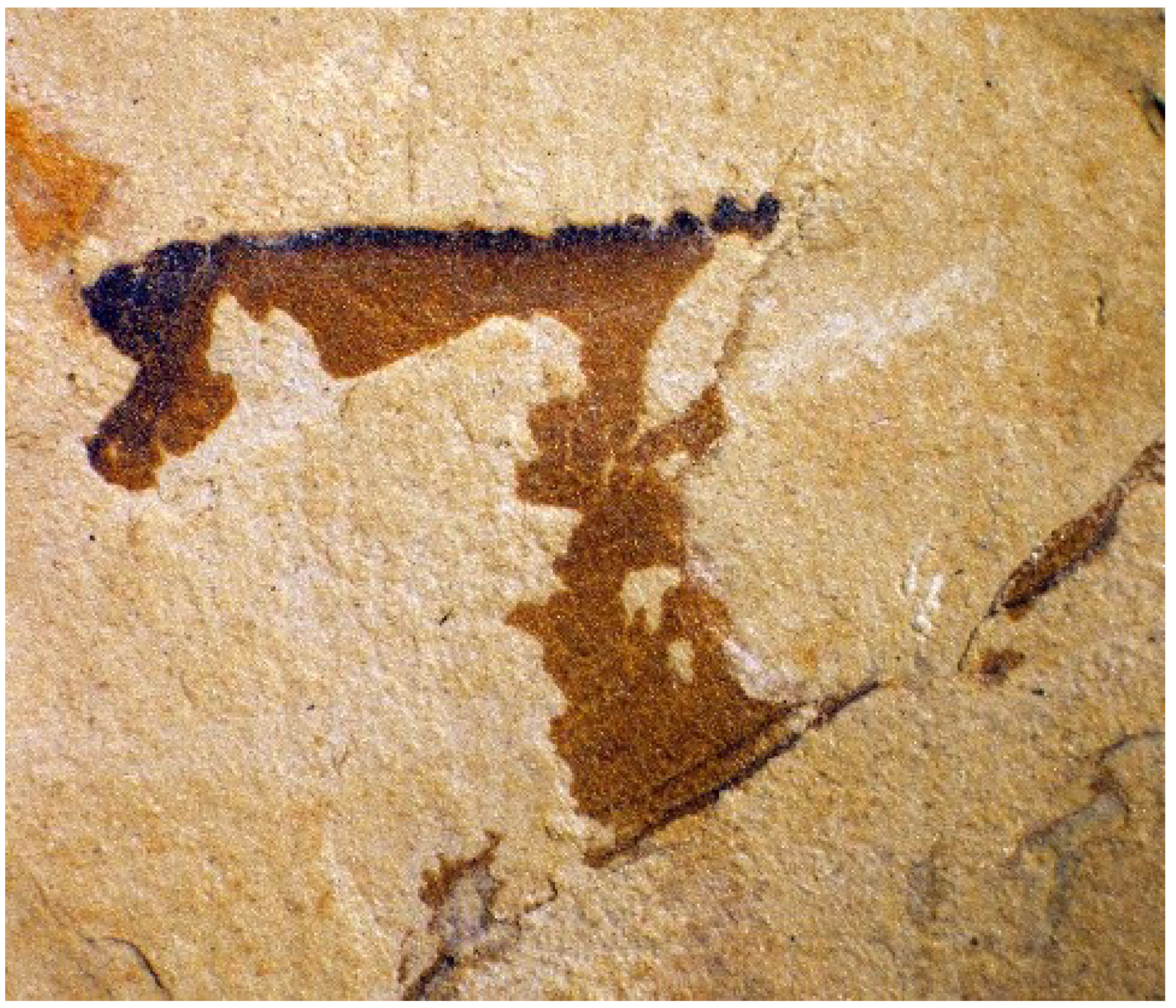 Geosciences 09 00354 g016