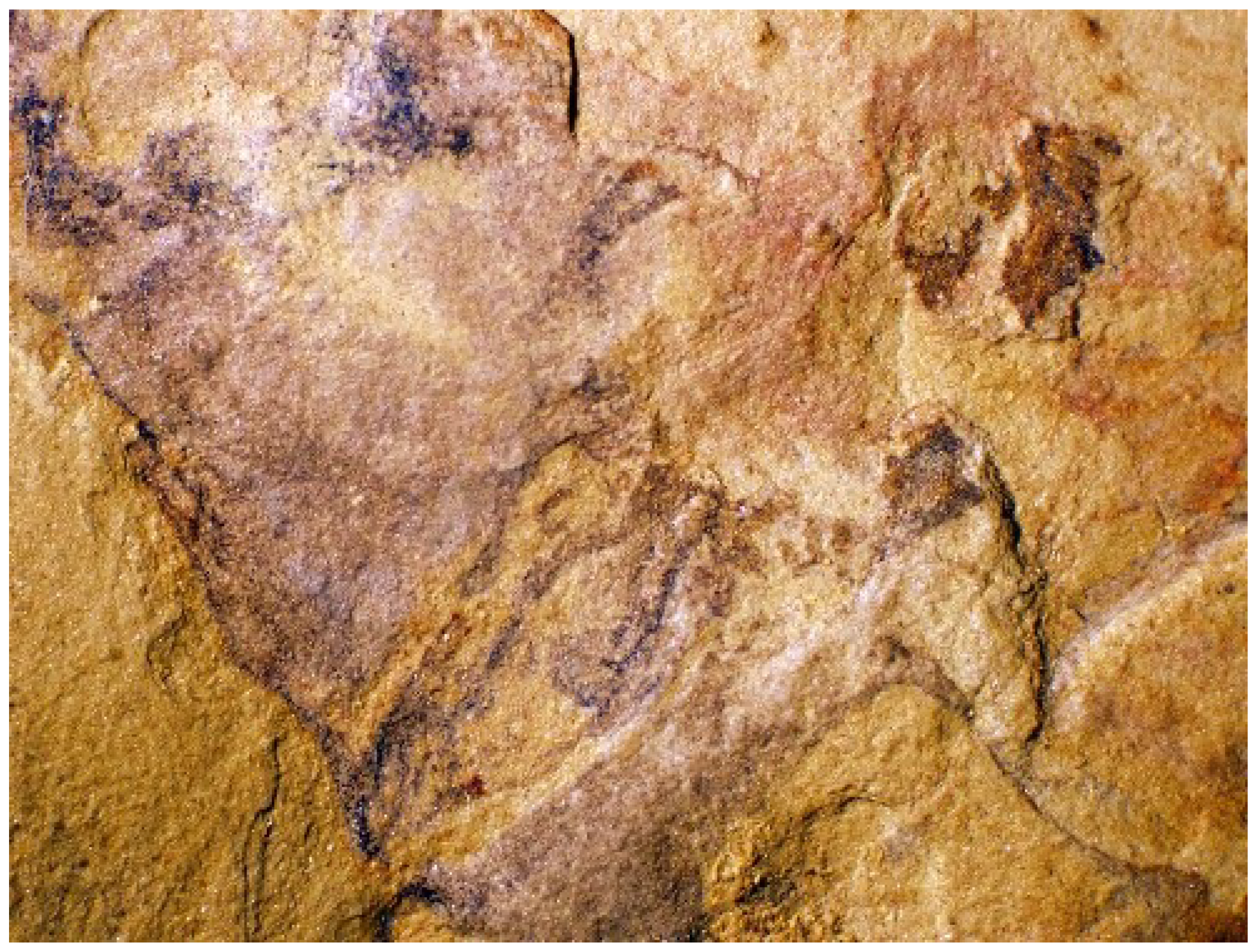 Geosciences 09 00354 g017