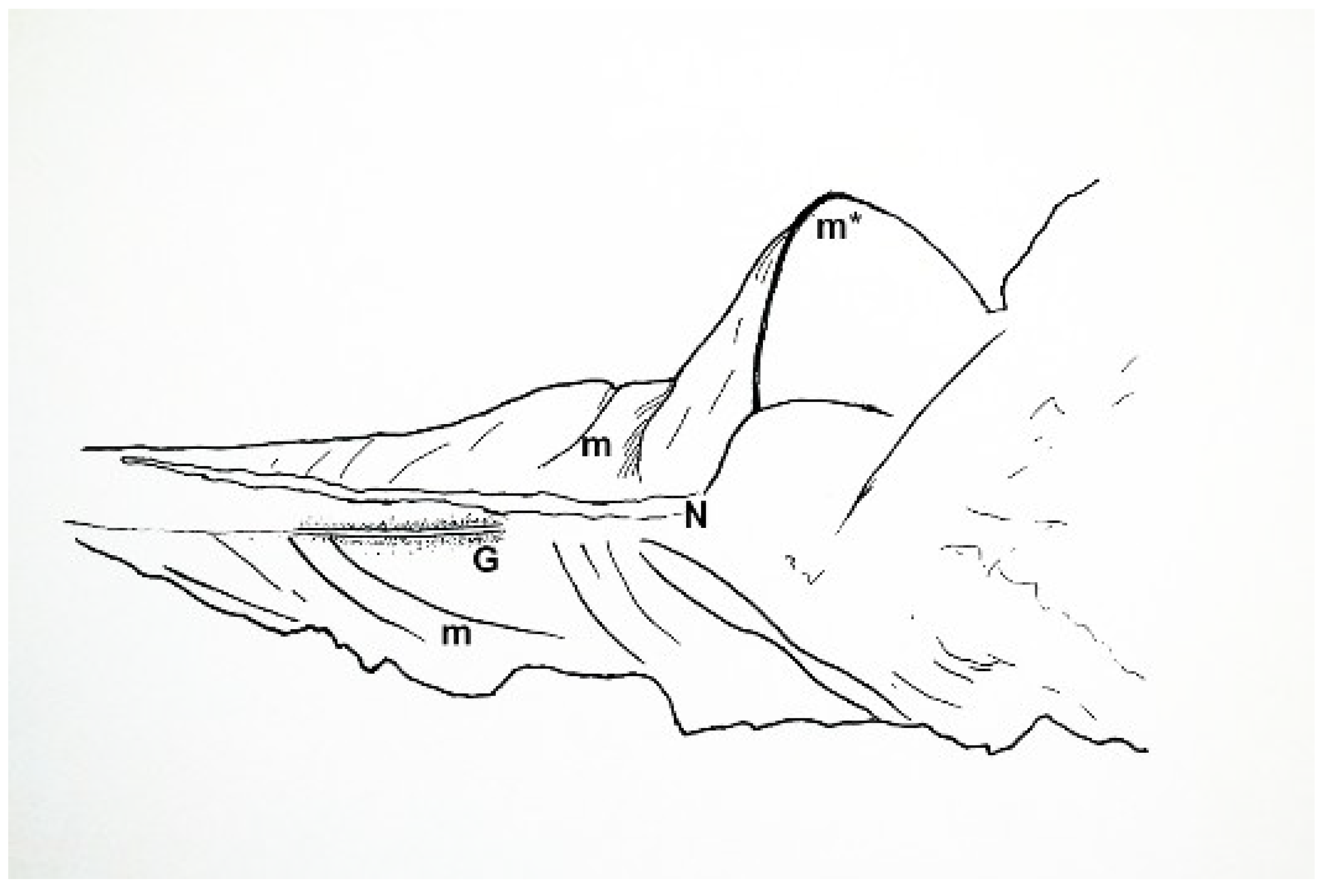 Geosciences 09 00354 g021