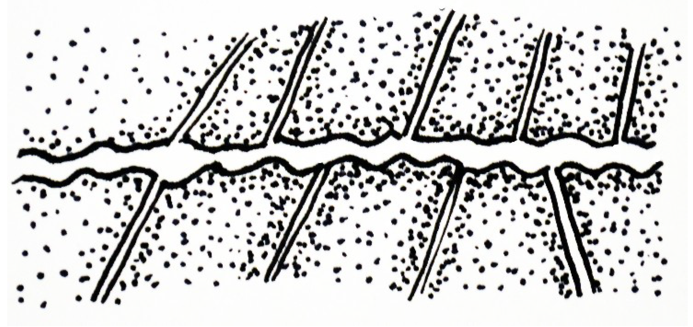 Geosciences 09 00354 g023