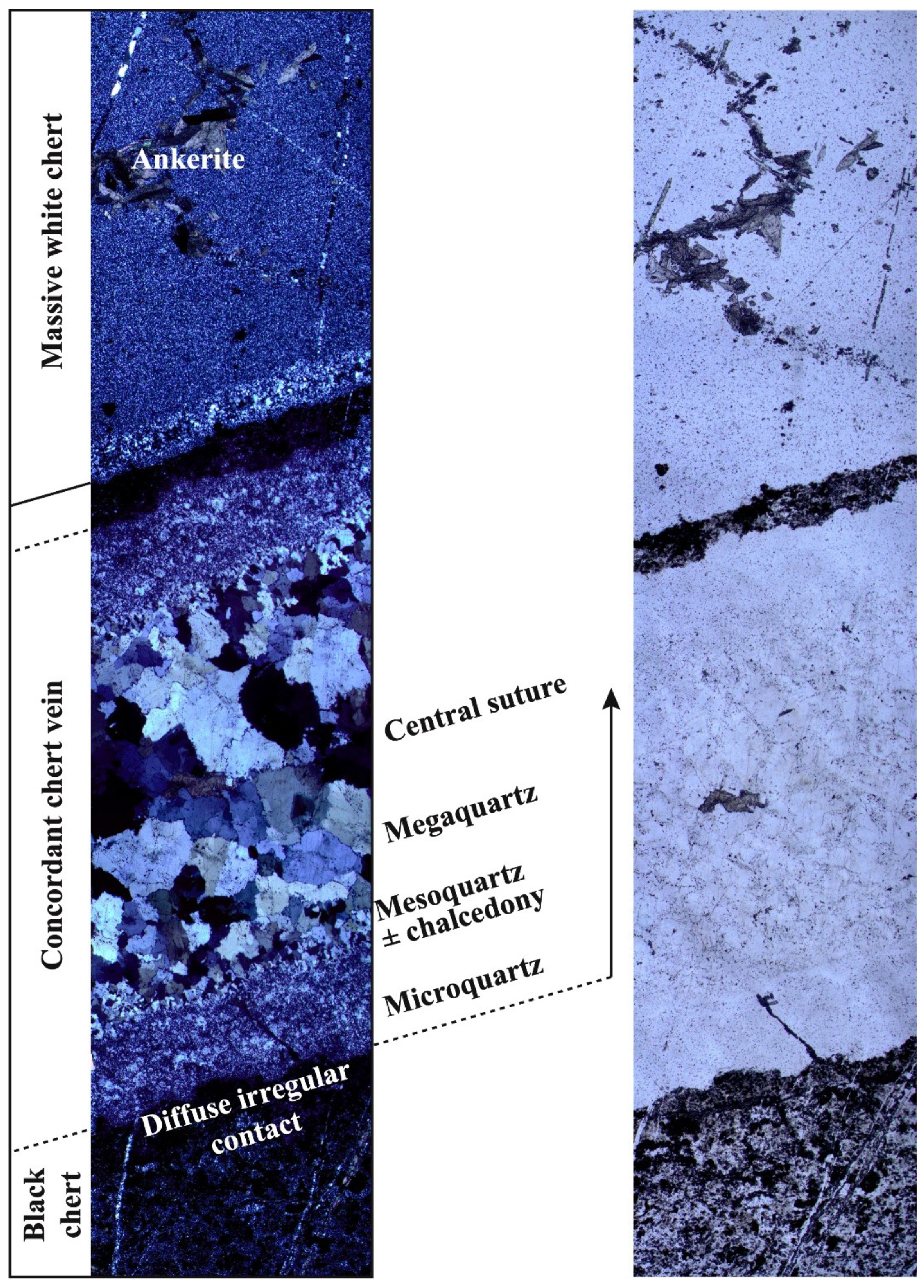 Geosciences 09 00424 g007