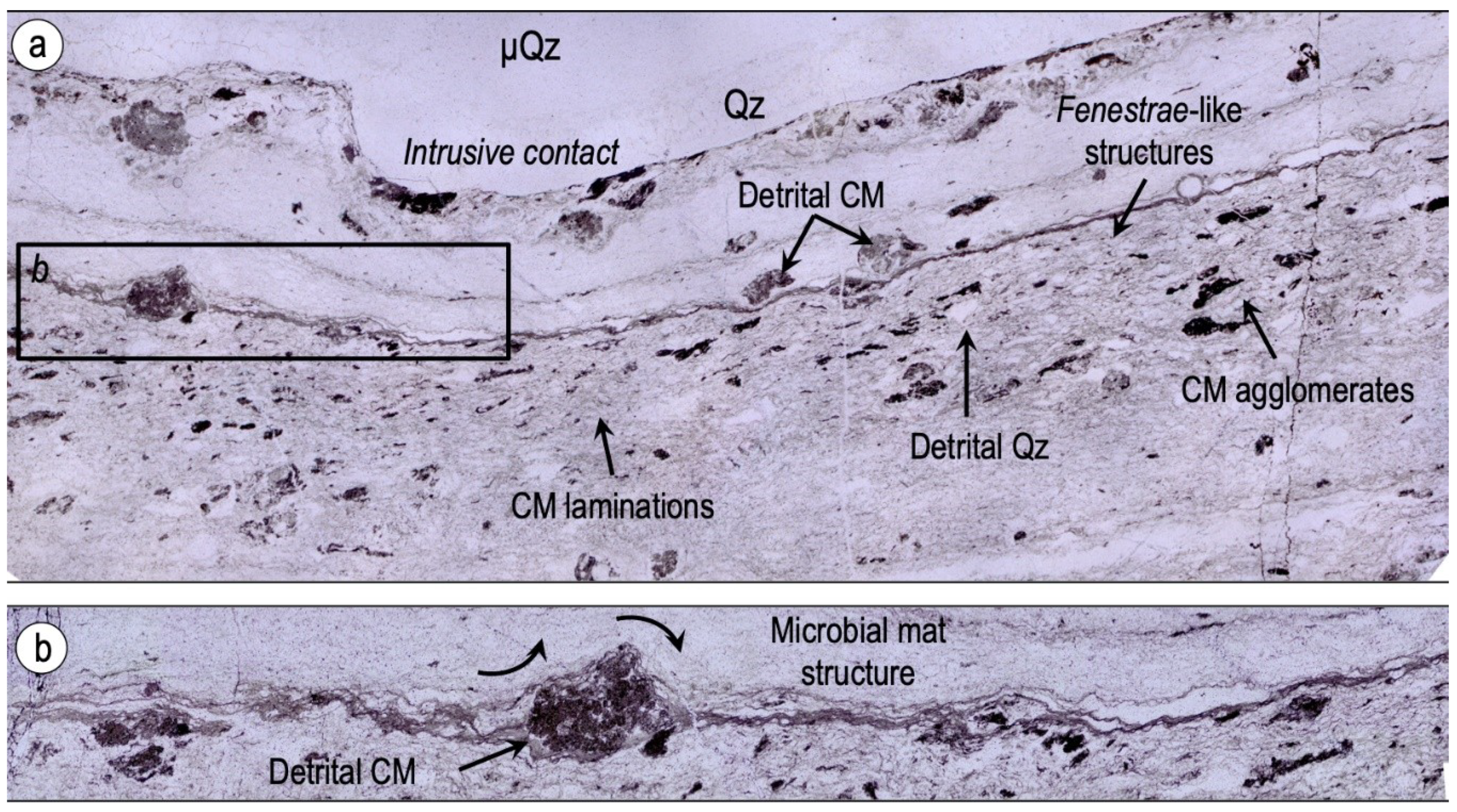 Geosciences 09 00424 g008