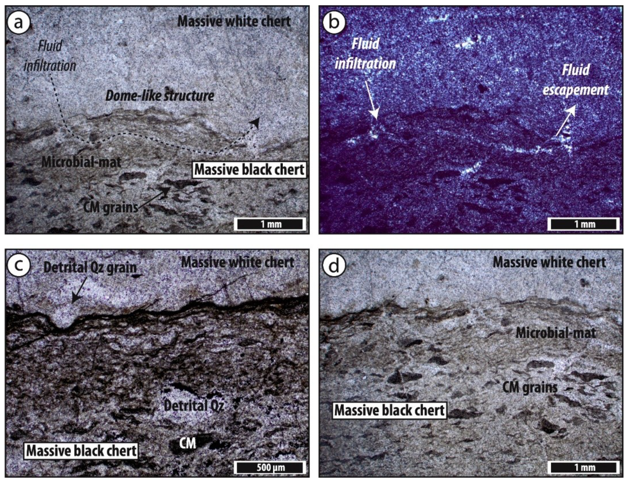 Geosciences 09 00424 g011