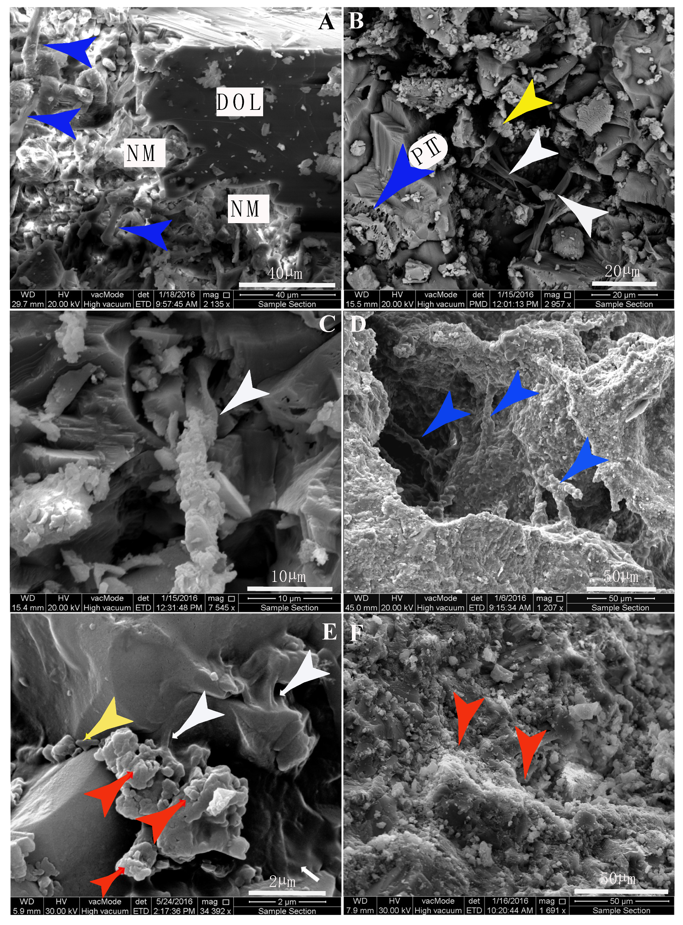Geosciences 09 00459 g012
