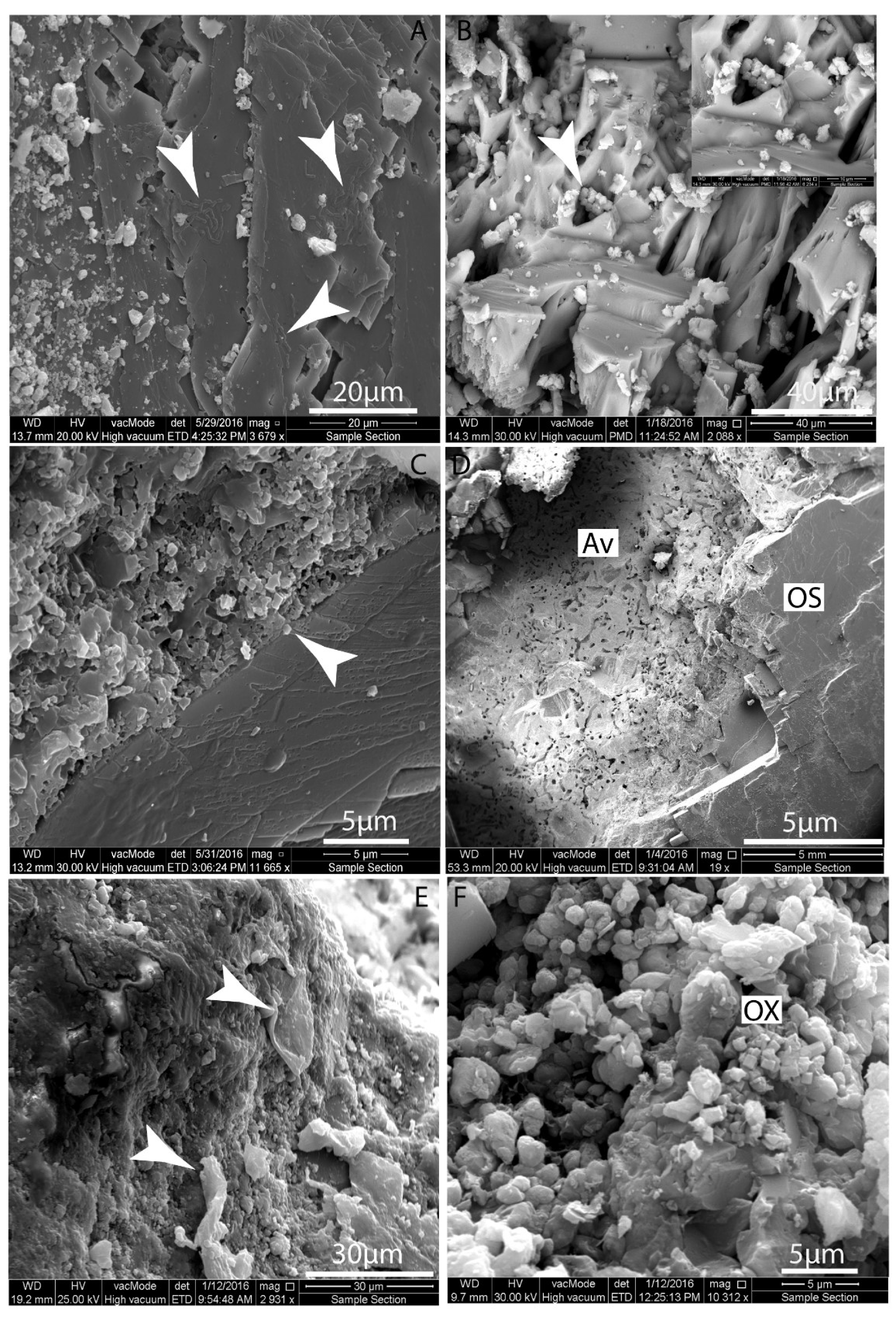 Geosciences 09 00459 g013