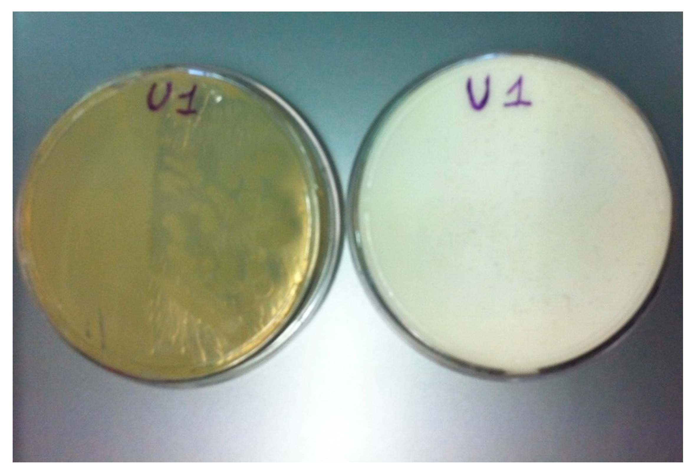 Geosciences 09 00479 g004