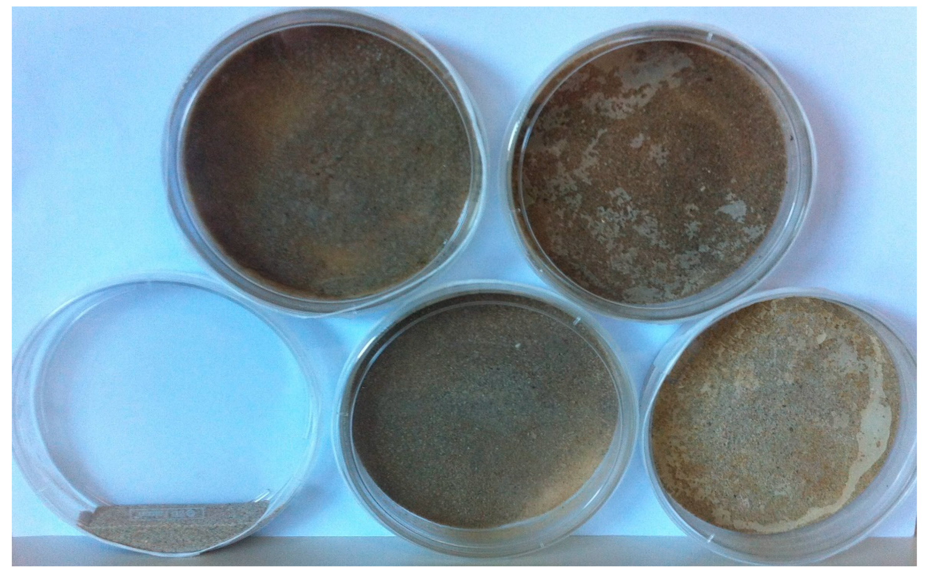 Geosciences 09 00479 g006