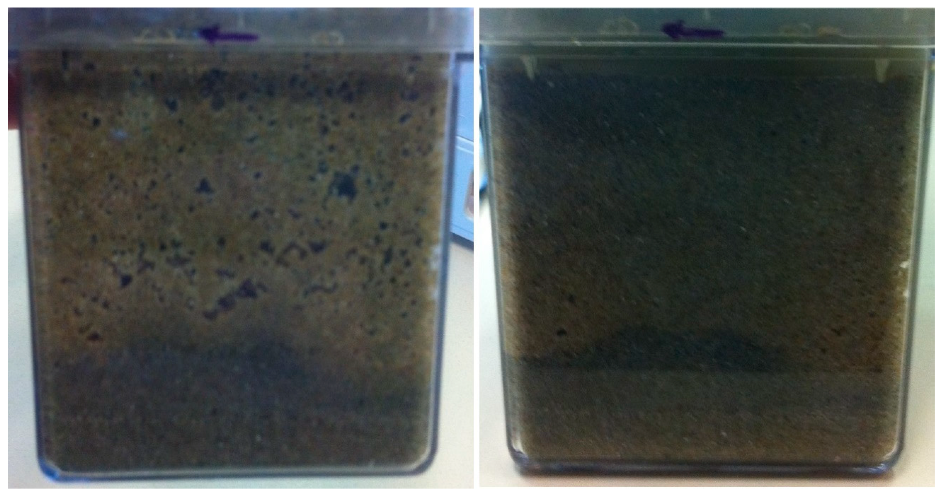 Geosciences 09 00479 g007