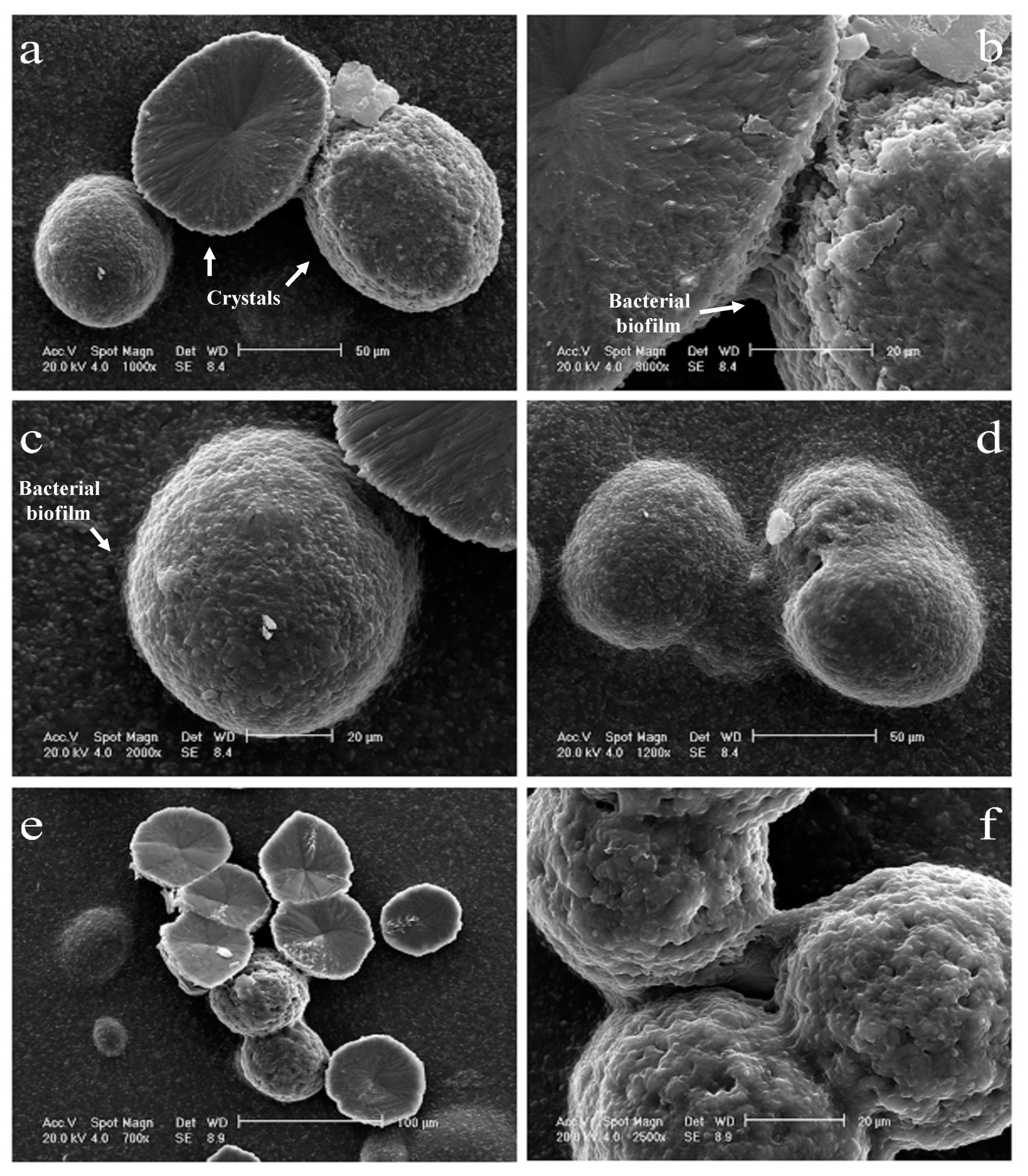 Geosciences 09 00479 g008