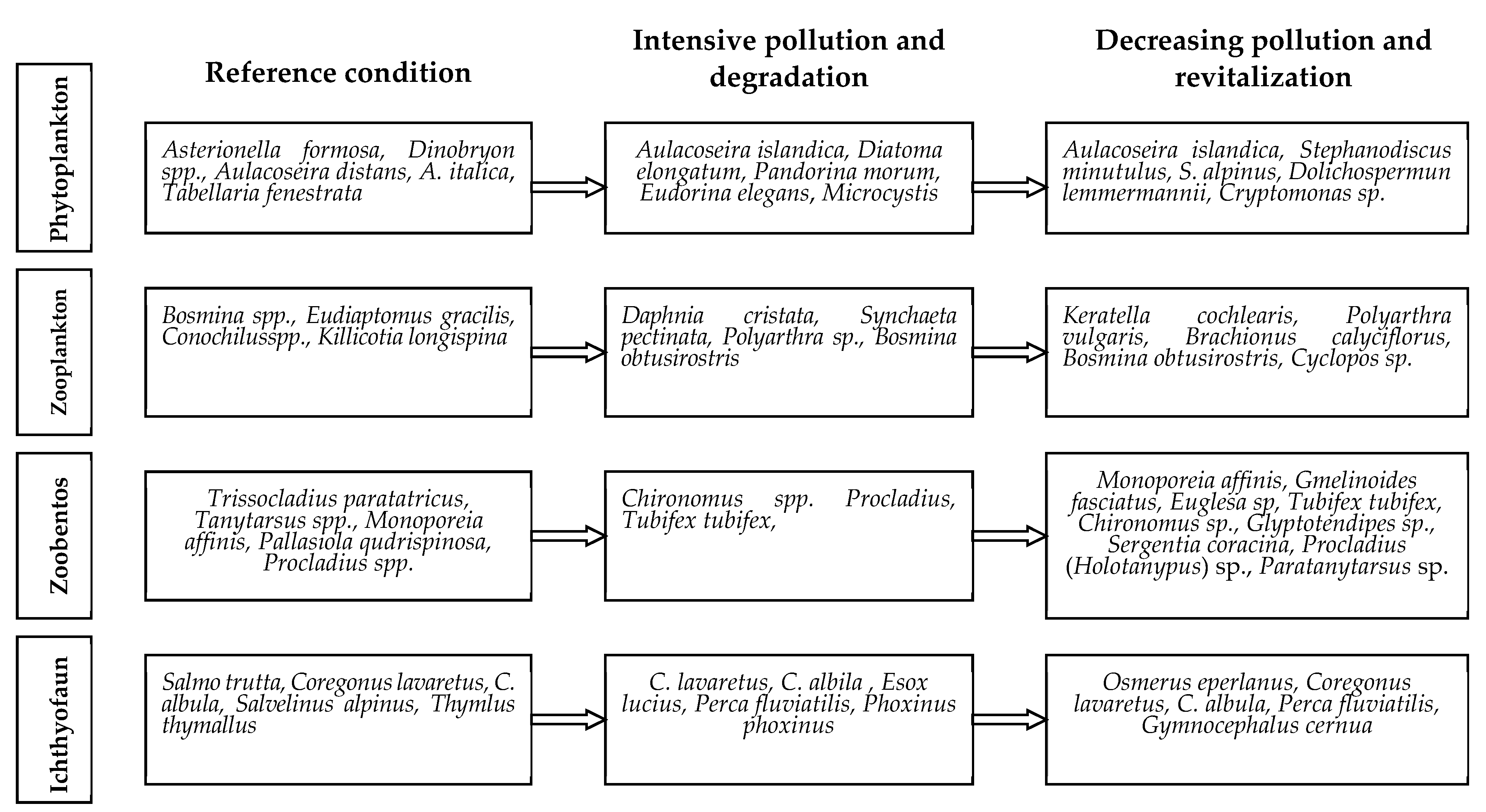 Geosciences 09 00492 g002