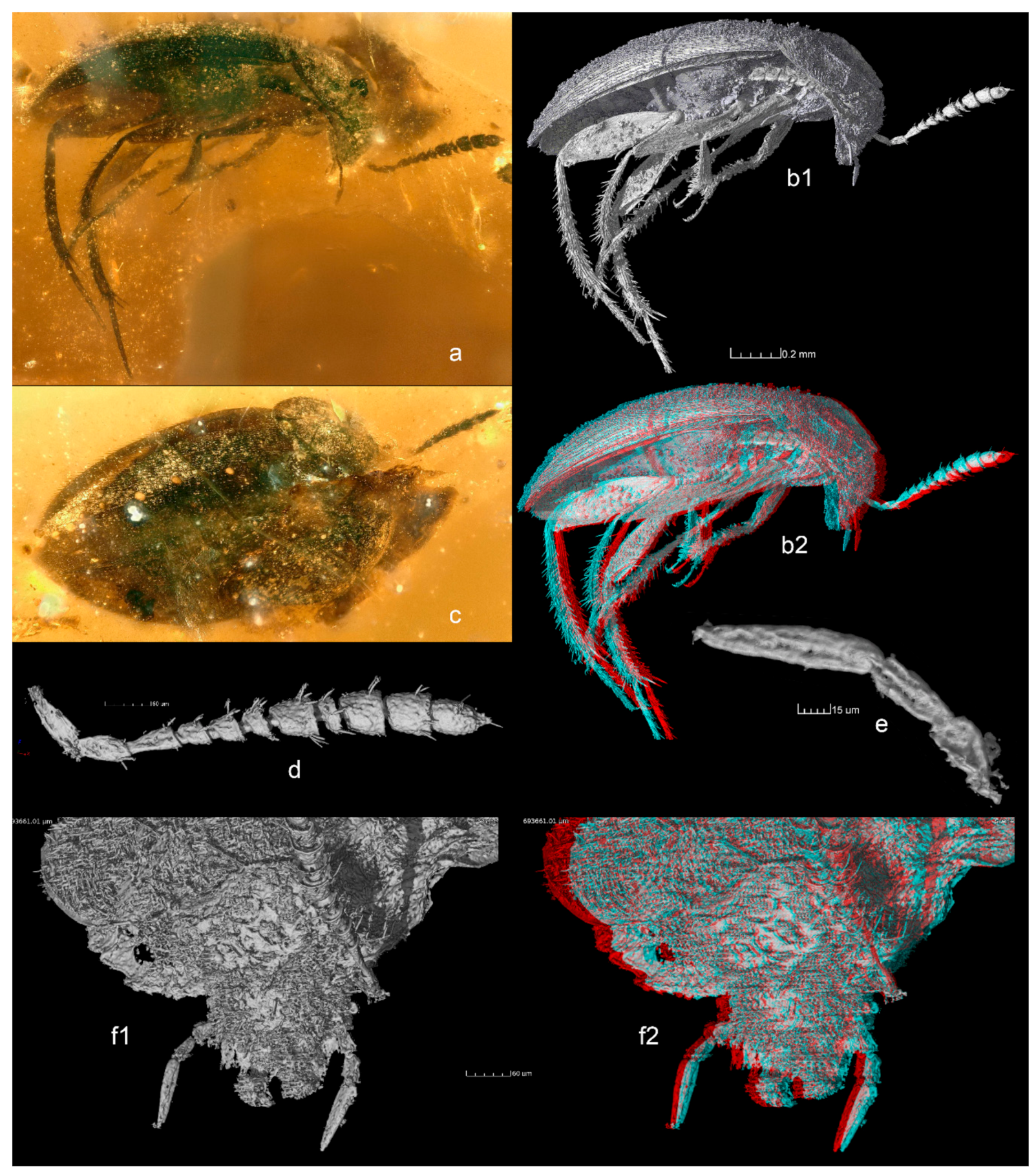 Geosciences 09 00521 g001