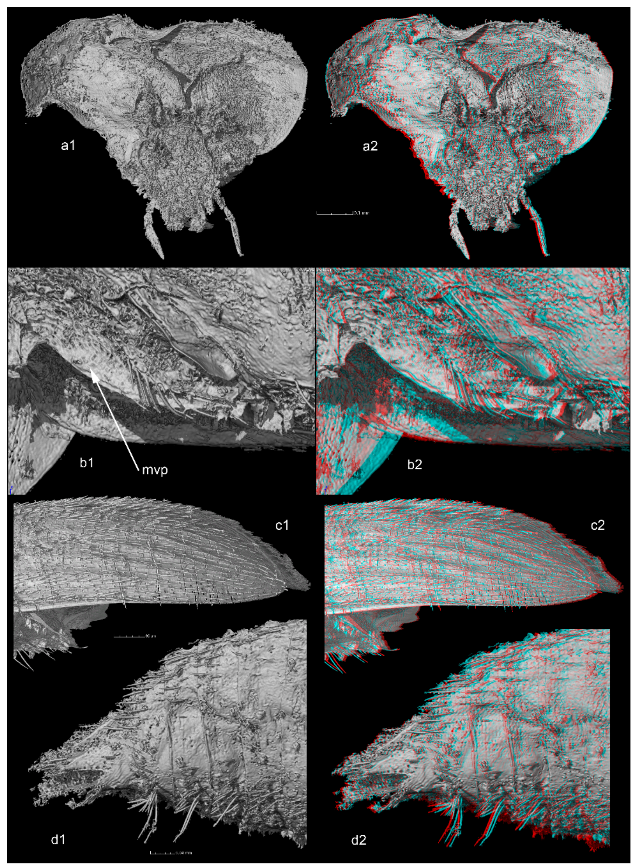 Geosciences 09 00521 g002