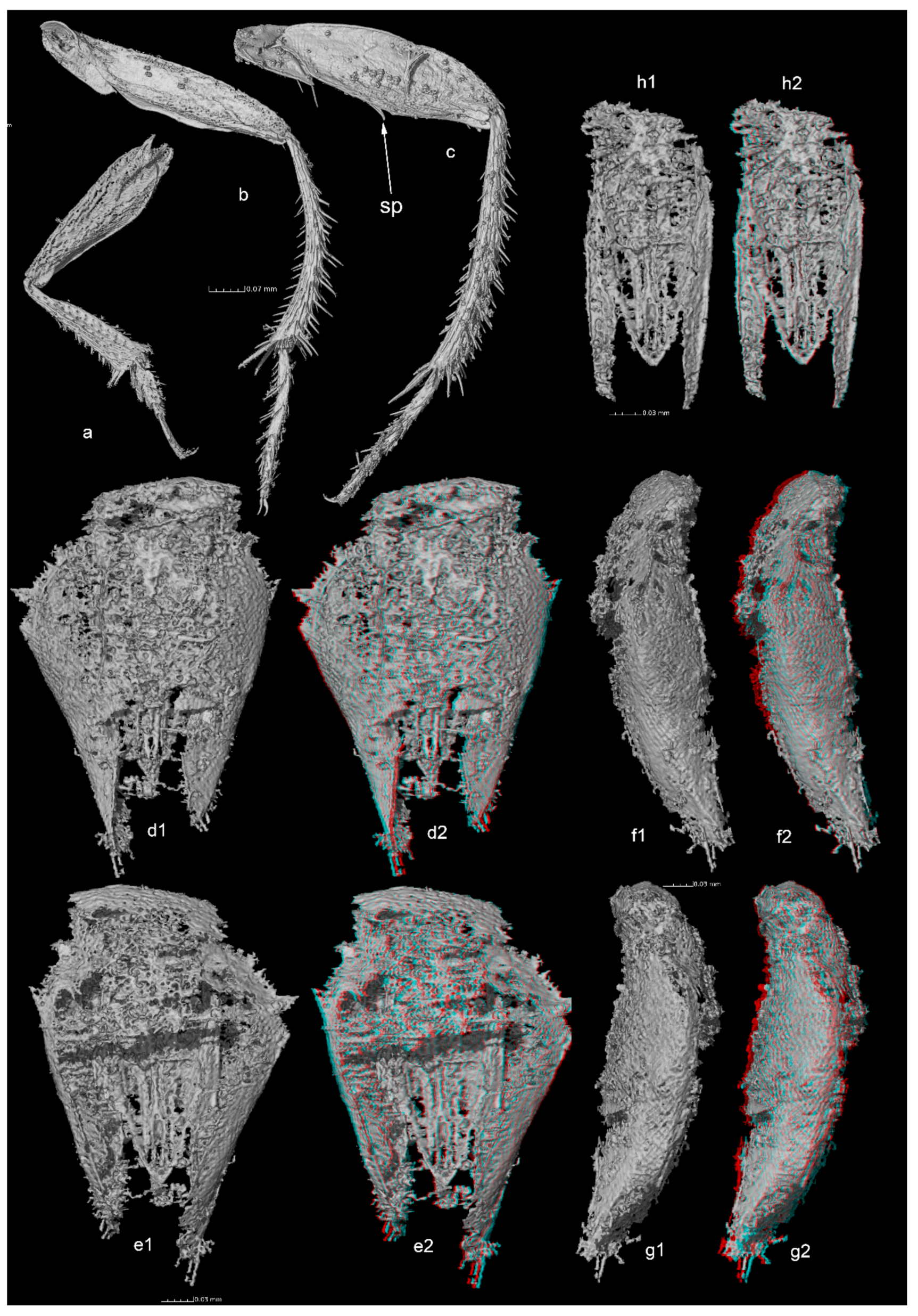 Geosciences 09 00521 g003