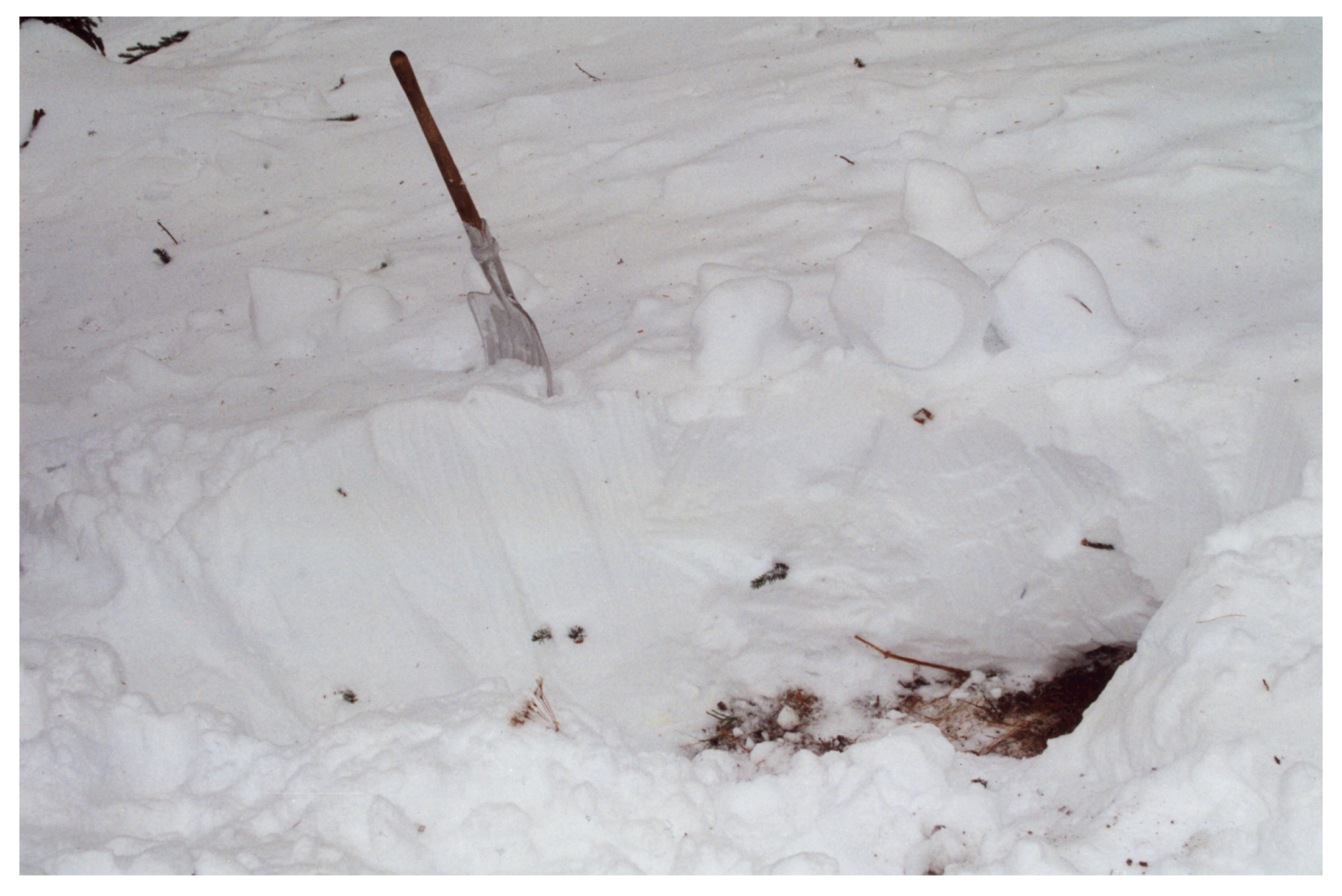 Geosciences 10 00002 g001