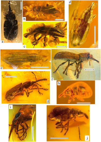 Geosciences 10 00016 g003
