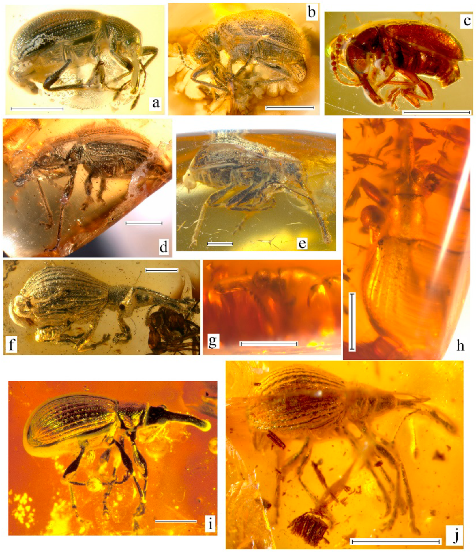 Geosciences 10 00016 g004