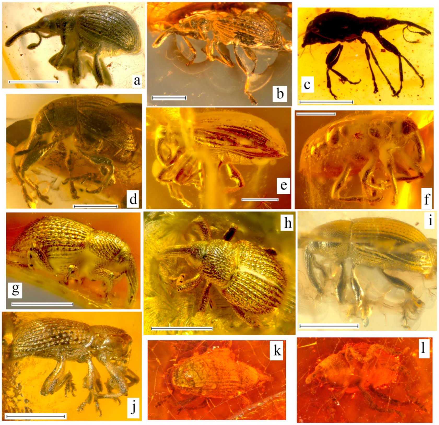 Geosciences 10 00016 g005