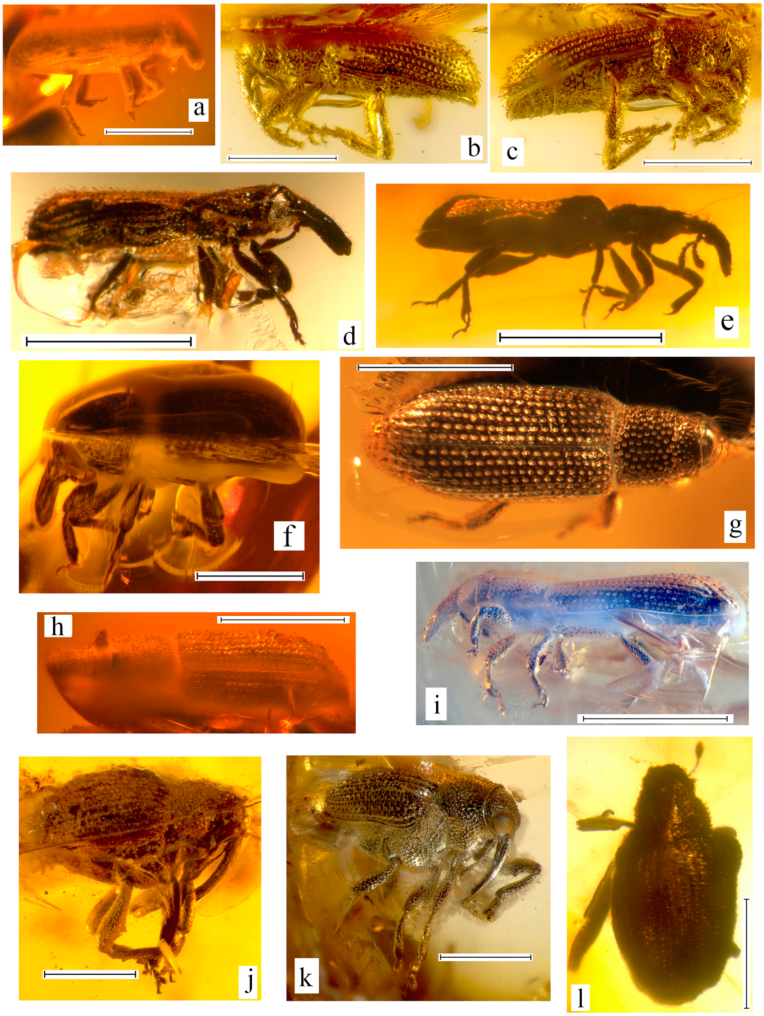 Geosciences 10 00016 g007