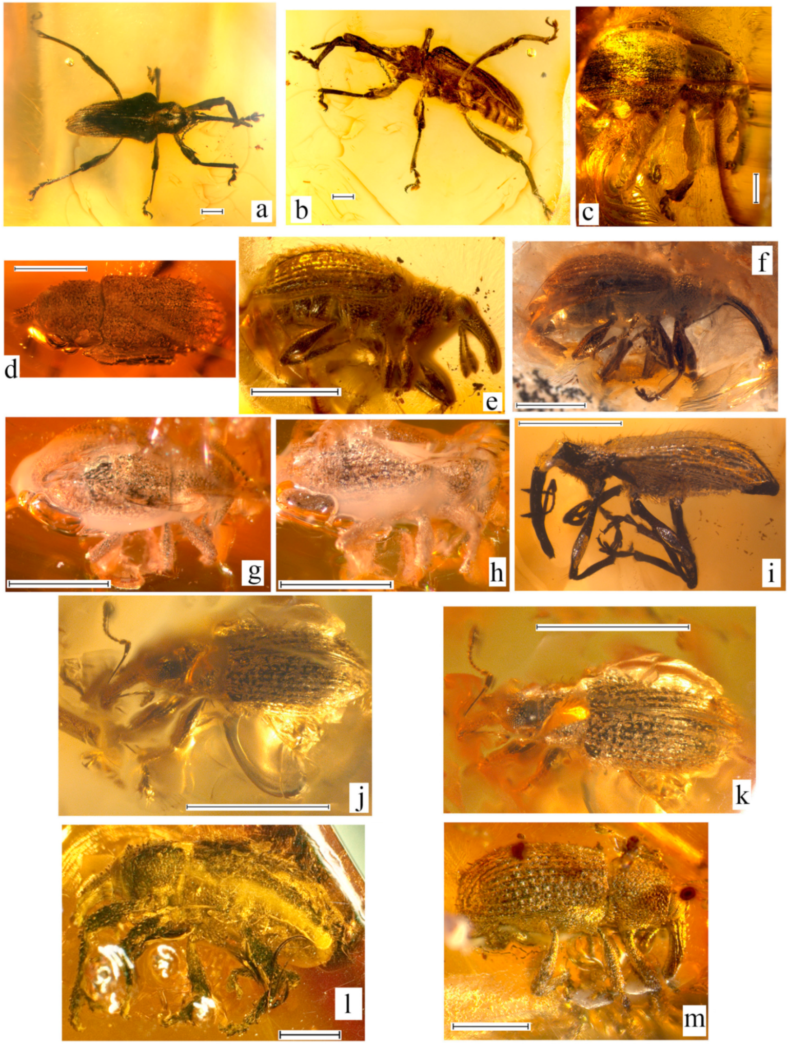 Geosciences 10 00016 g008