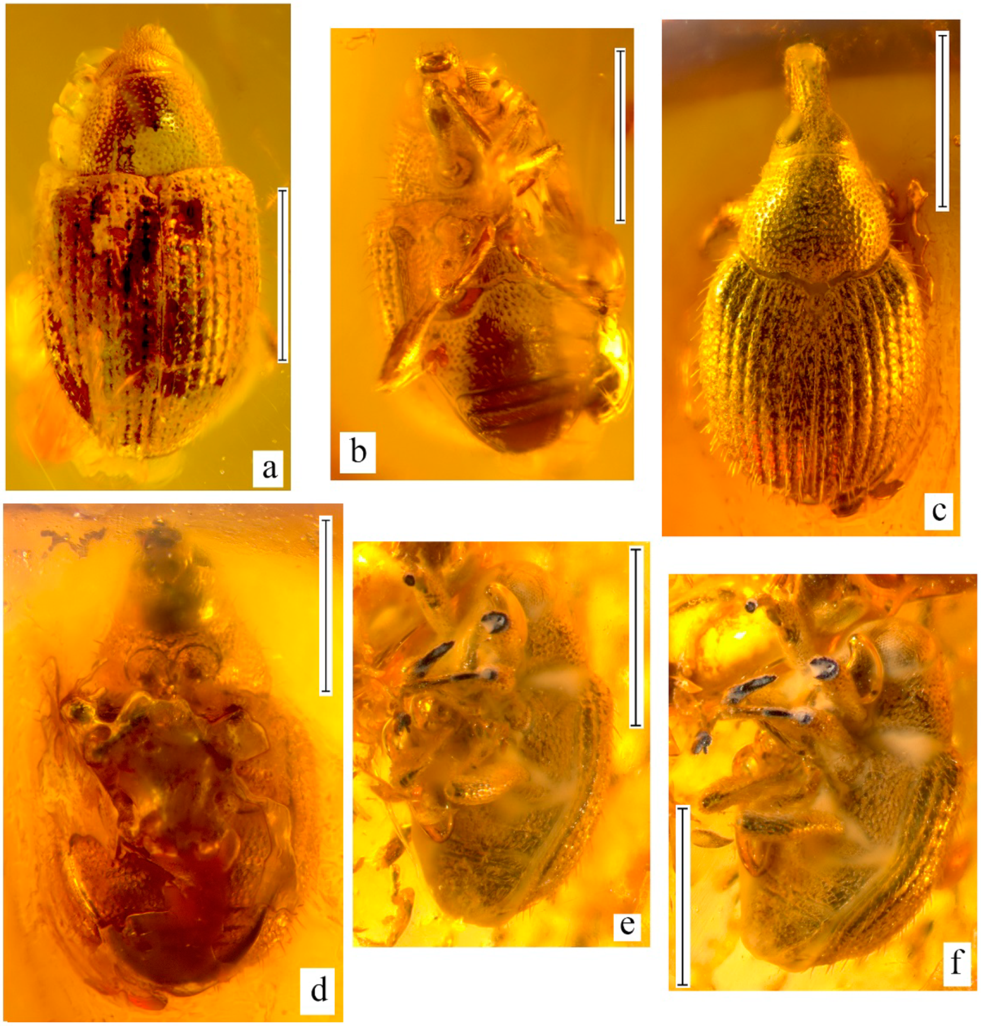 Geosciences 10 00016 g009