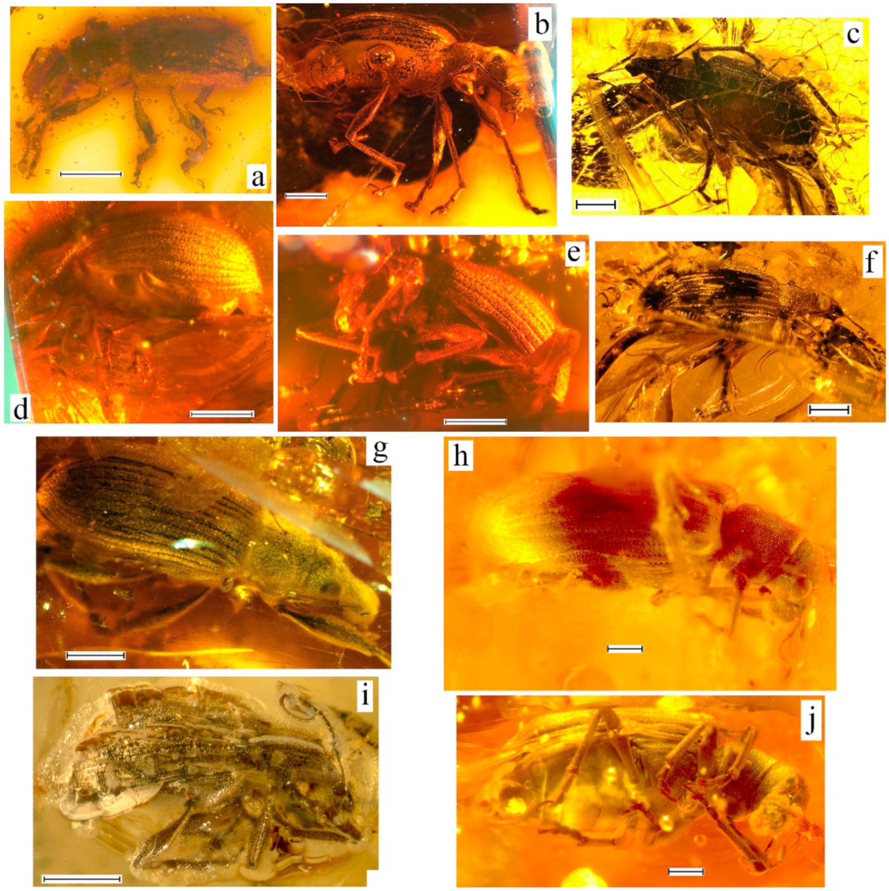 Geosciences 10 00016 g011