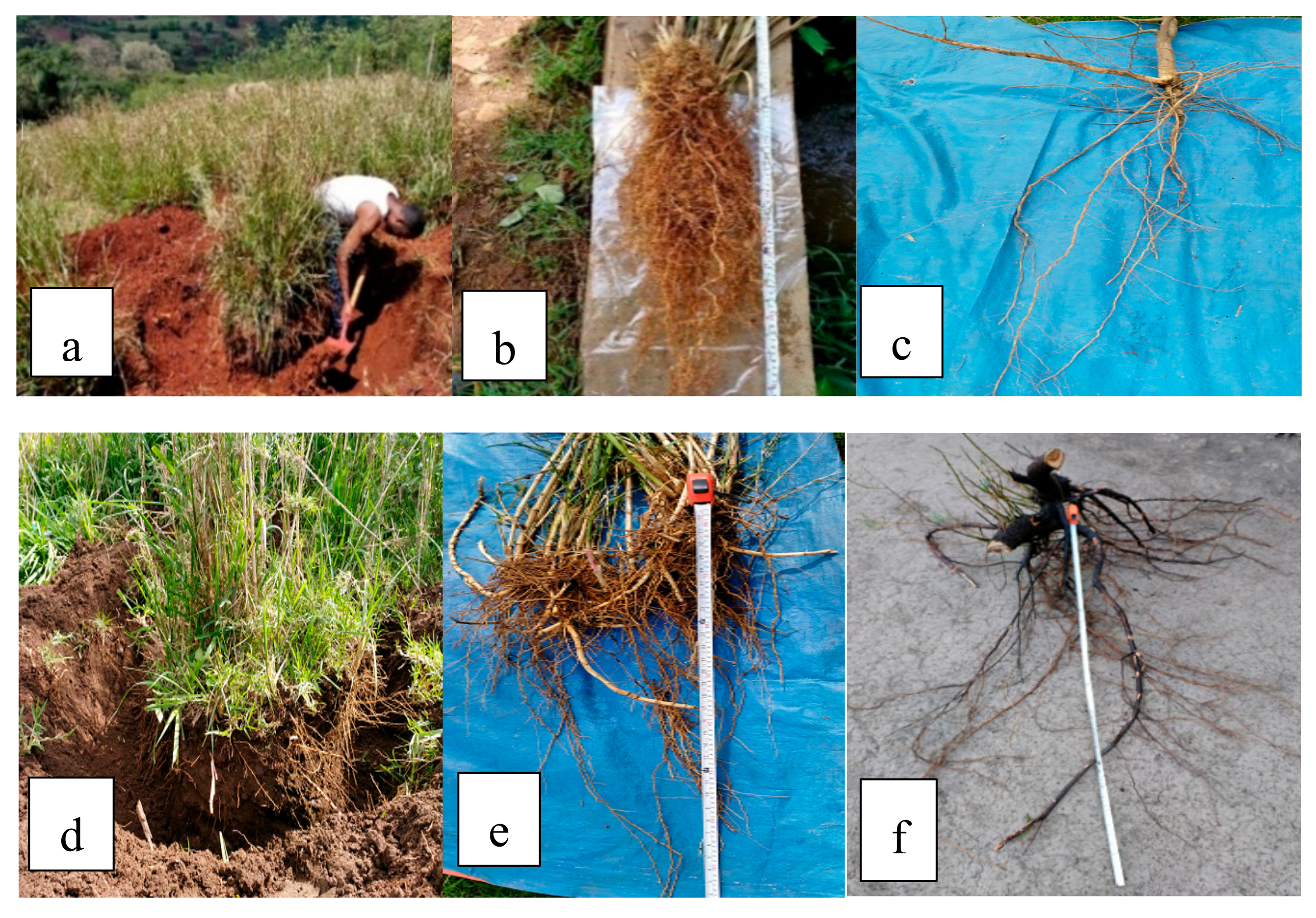 Geosciences 10 00019 g003