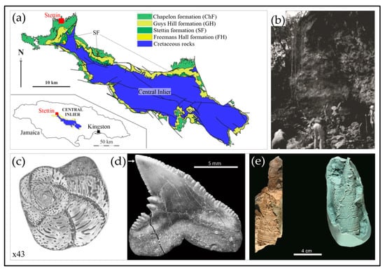 Geosciences 10 00037 g009 550