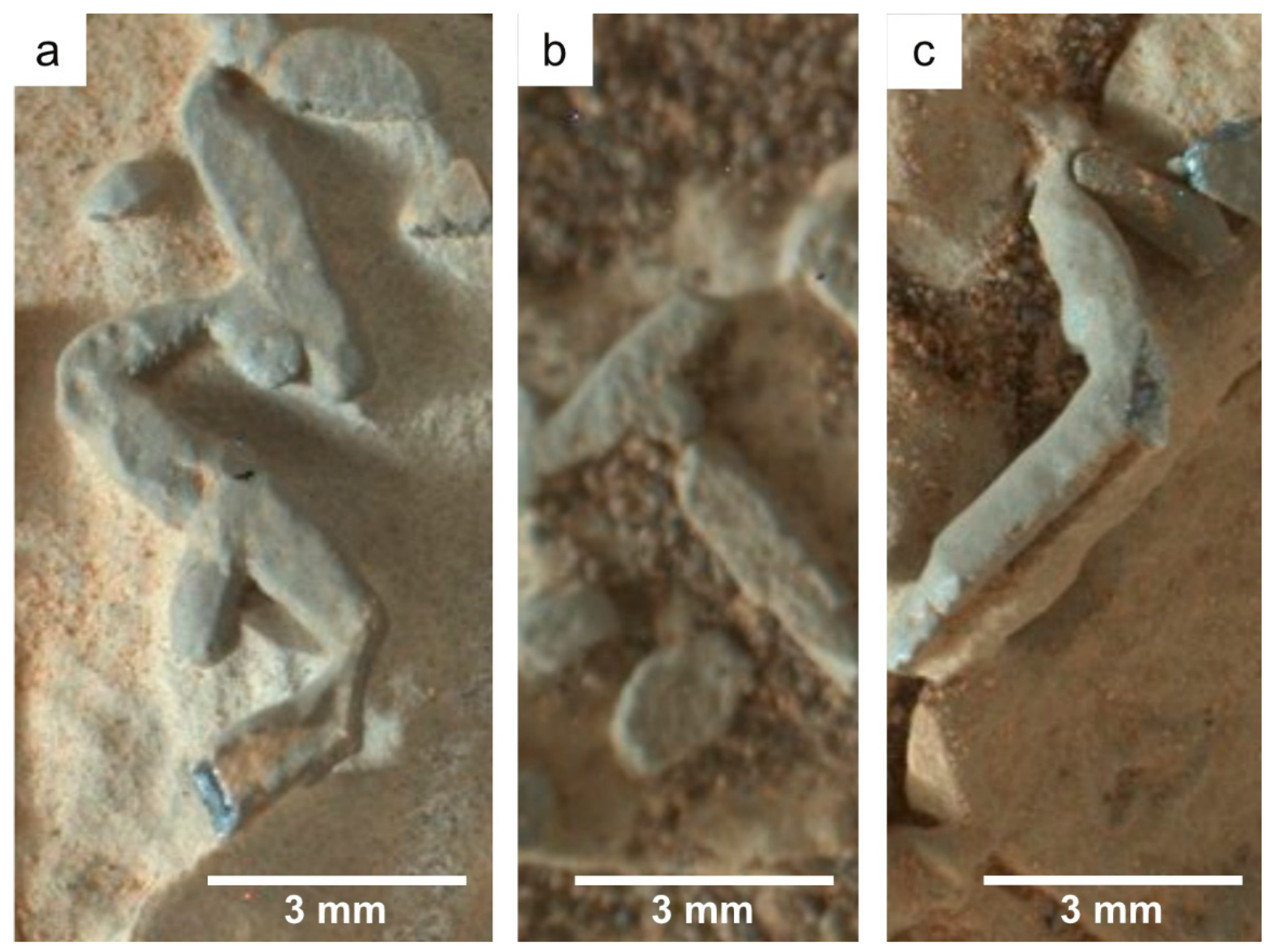 Geosciences 10 00039 g002