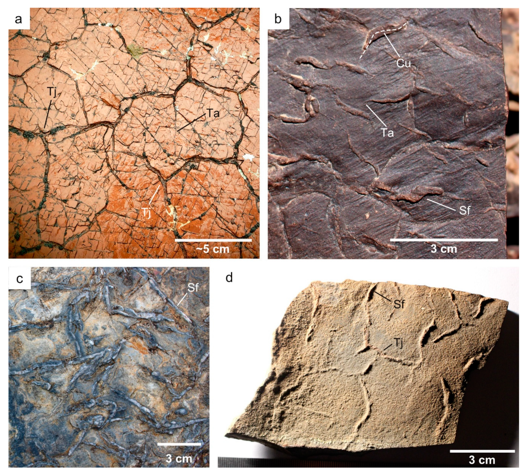 Geosciences 10 00039 g003