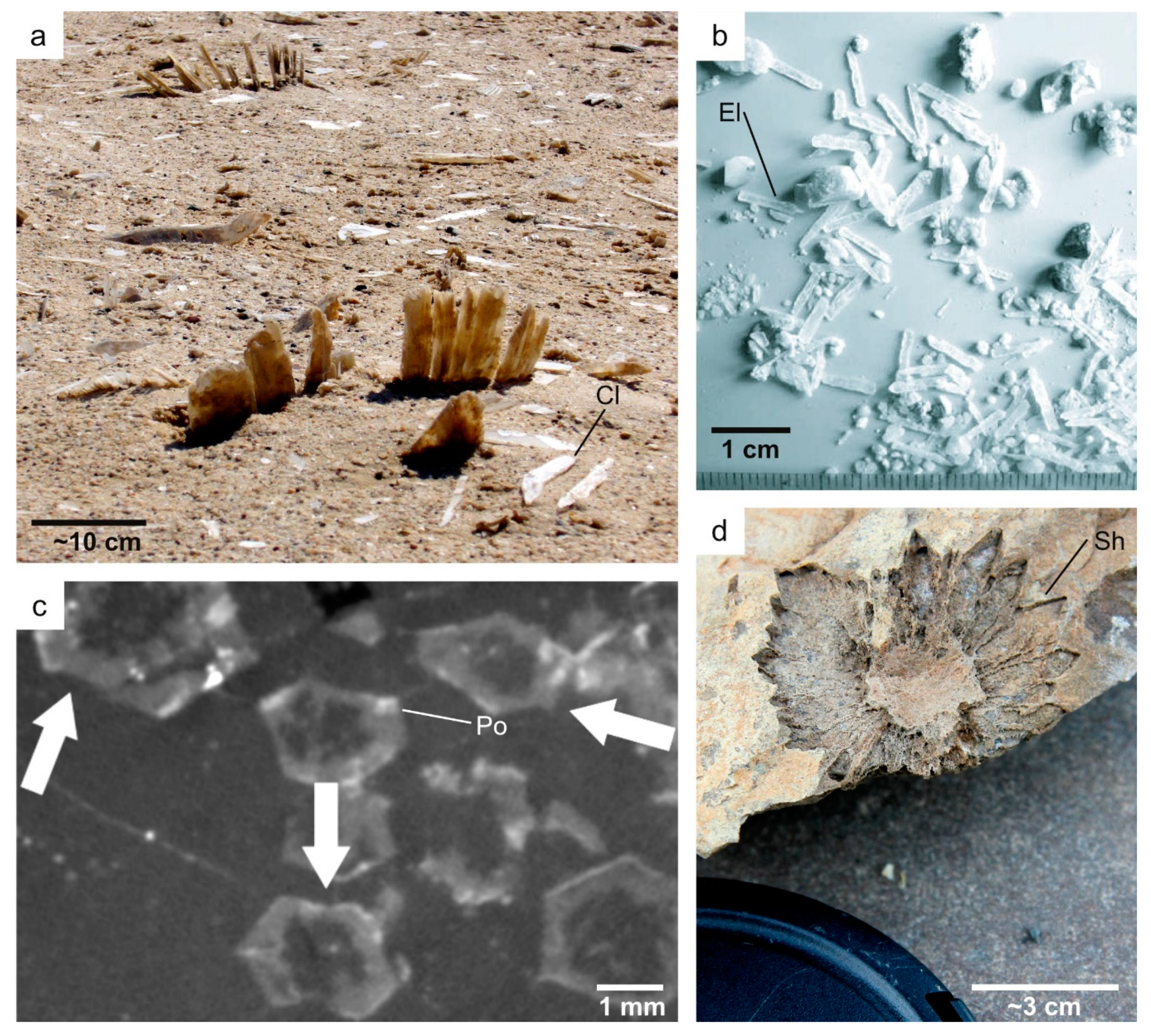 Geosciences 10 00039 g004