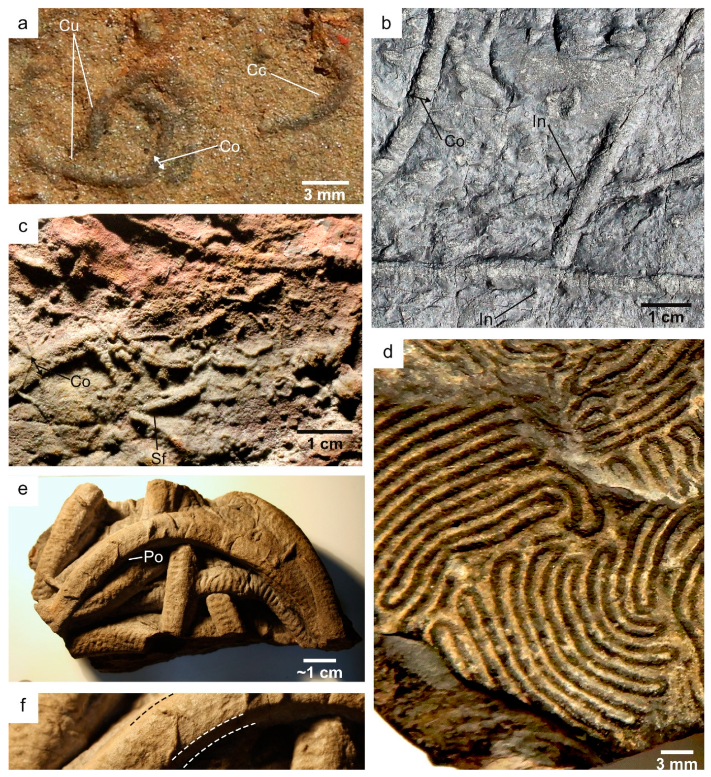 Geosciences 10 00039 g005