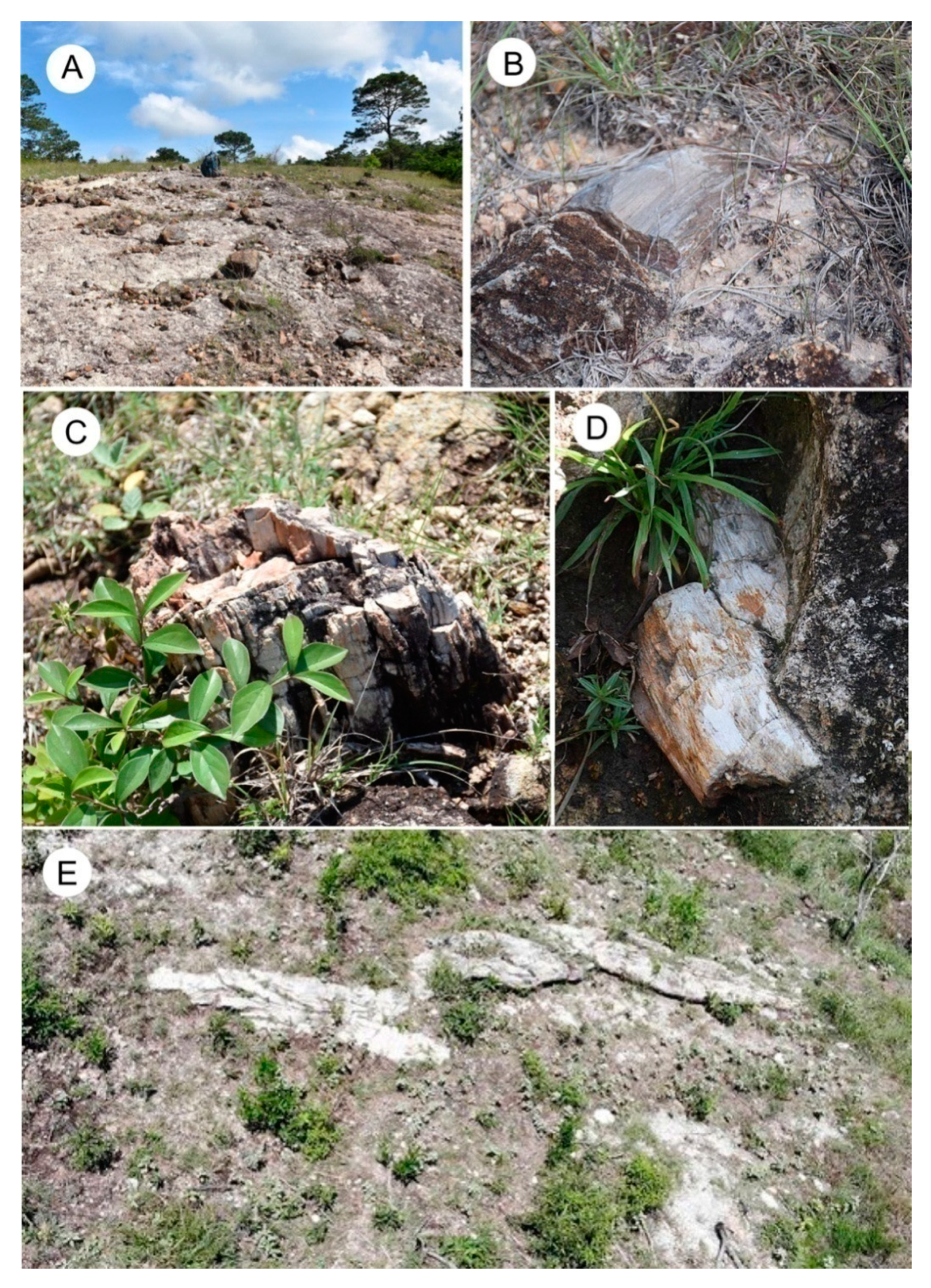 Geosciences 10 00049 g003