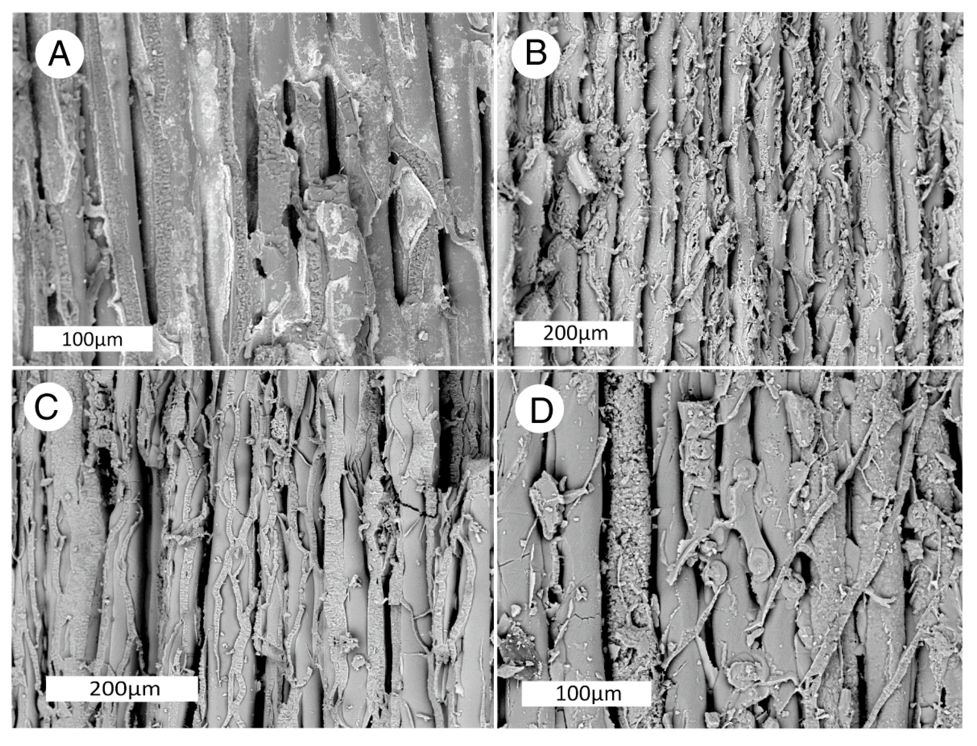 Geosciences 10 00049 g007