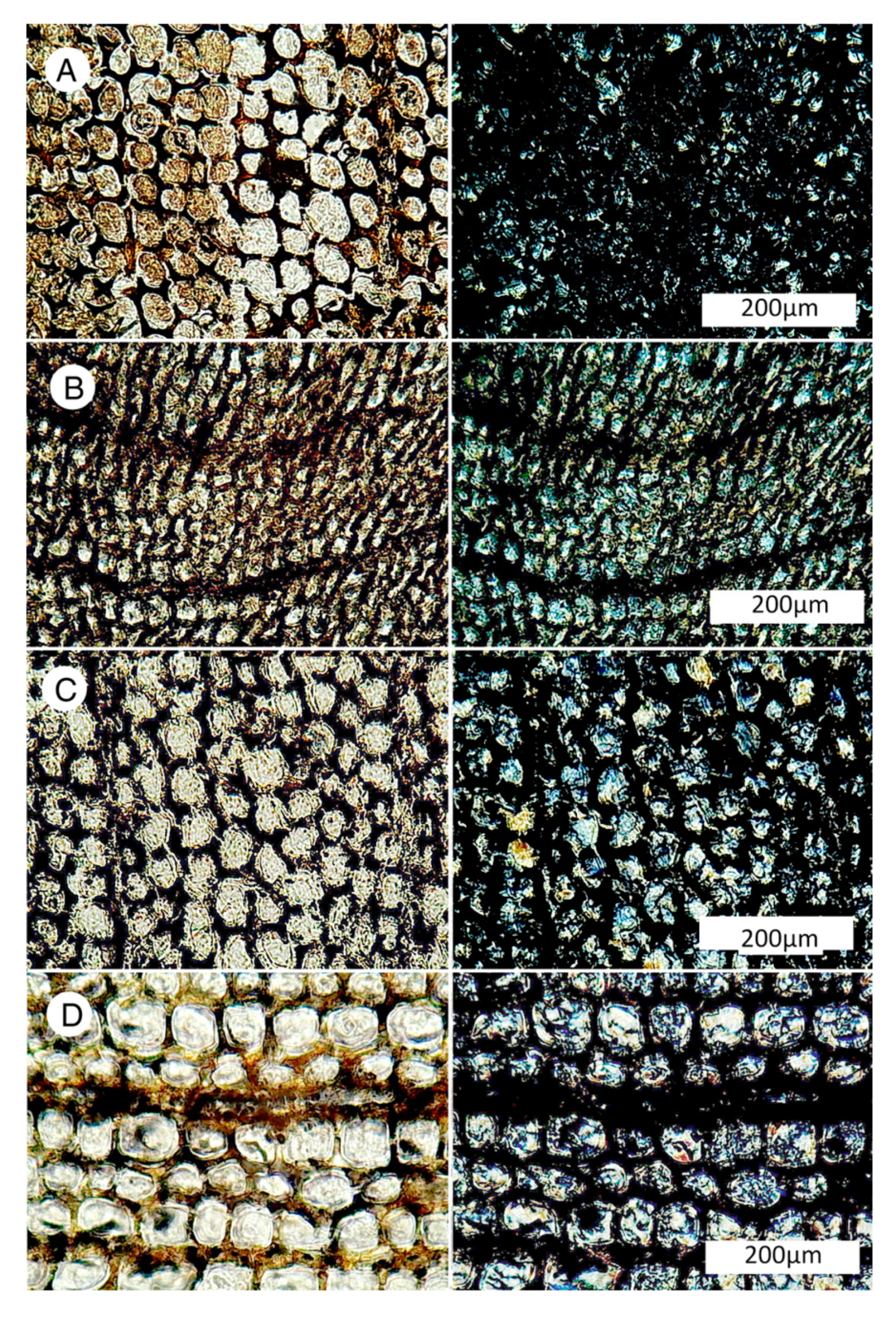 Geosciences 10 00049 g009