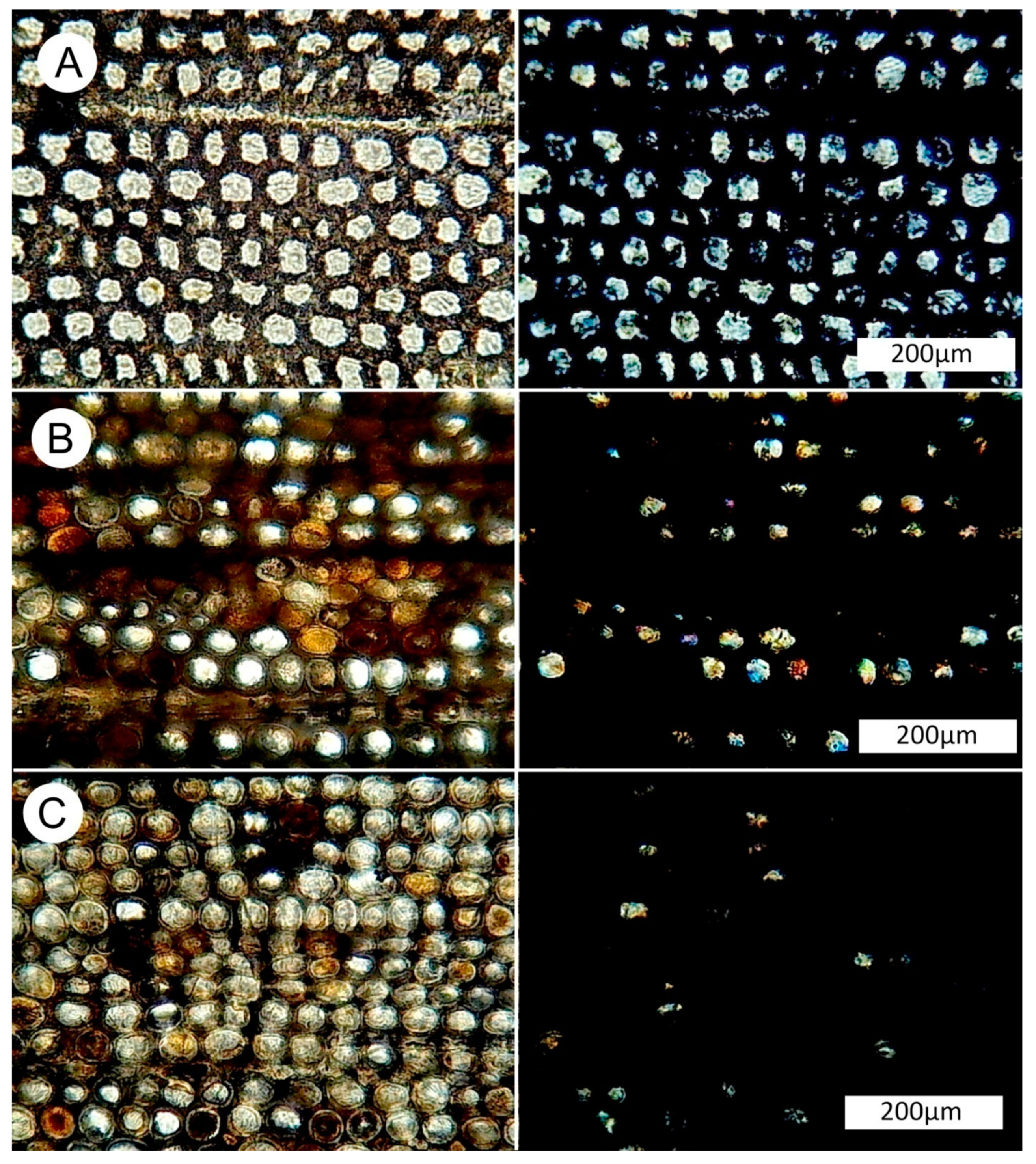 Geosciences 10 00049 g012