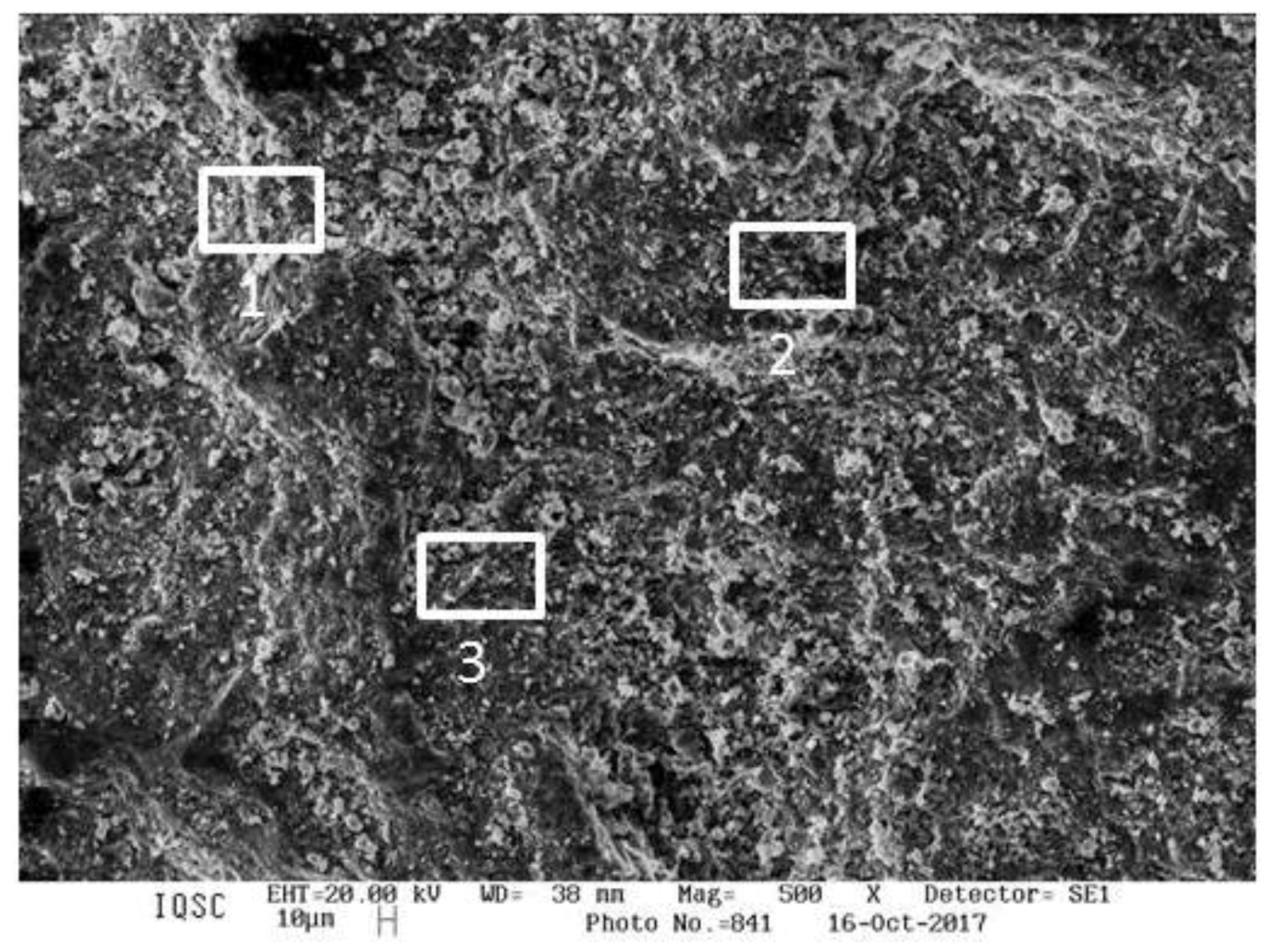 Geosciences 10 00059 g004
