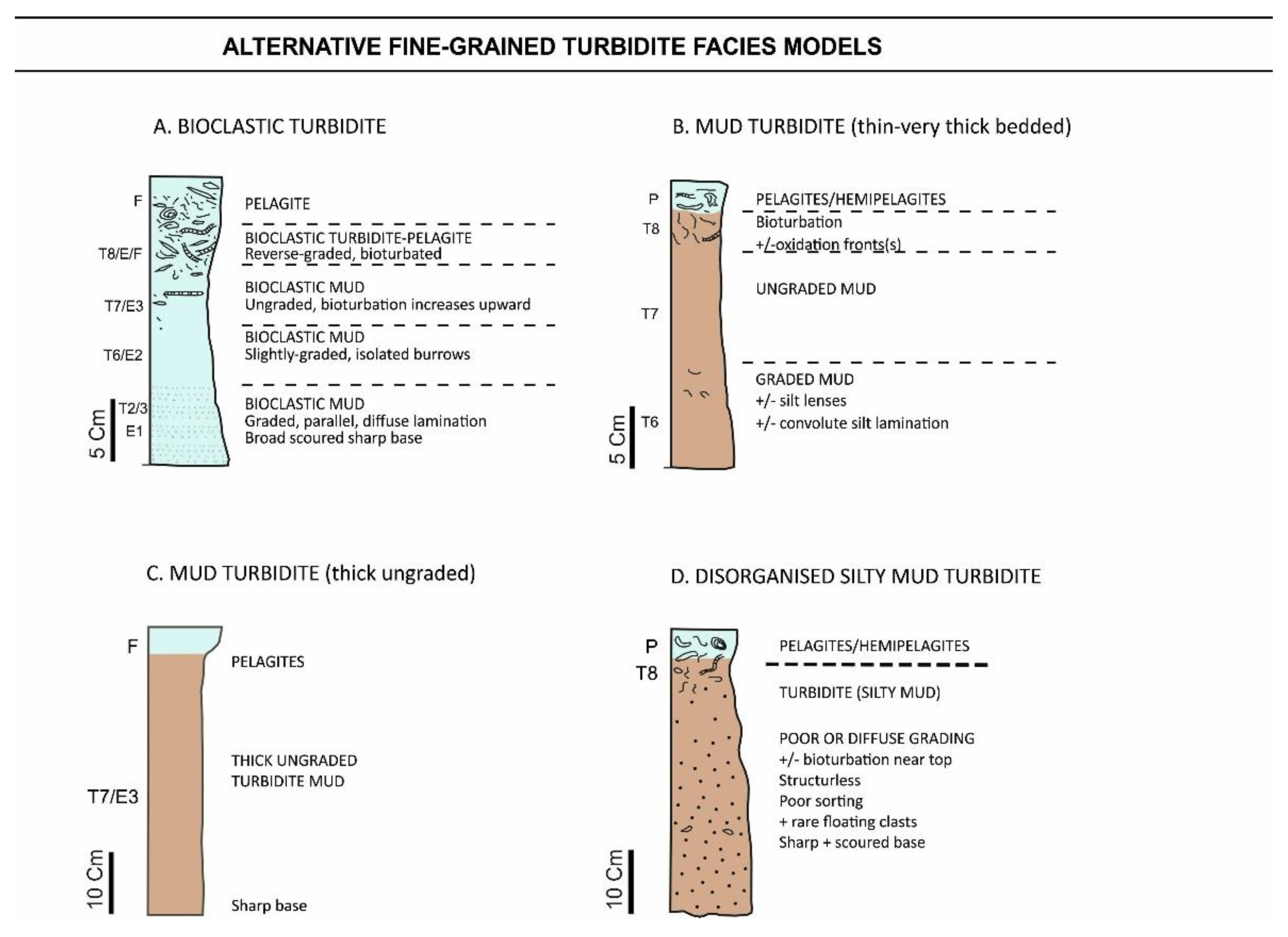 Geosciences 10 00068 g011