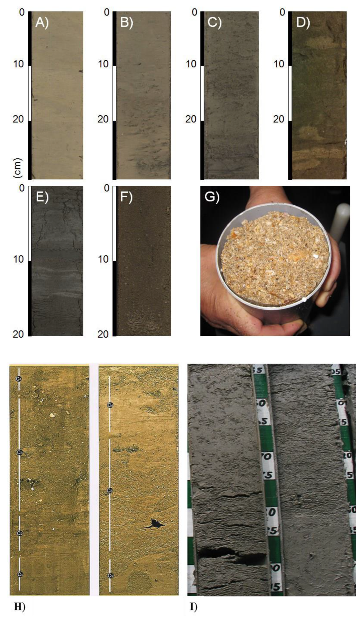 Geosciences 10 00068 g015a