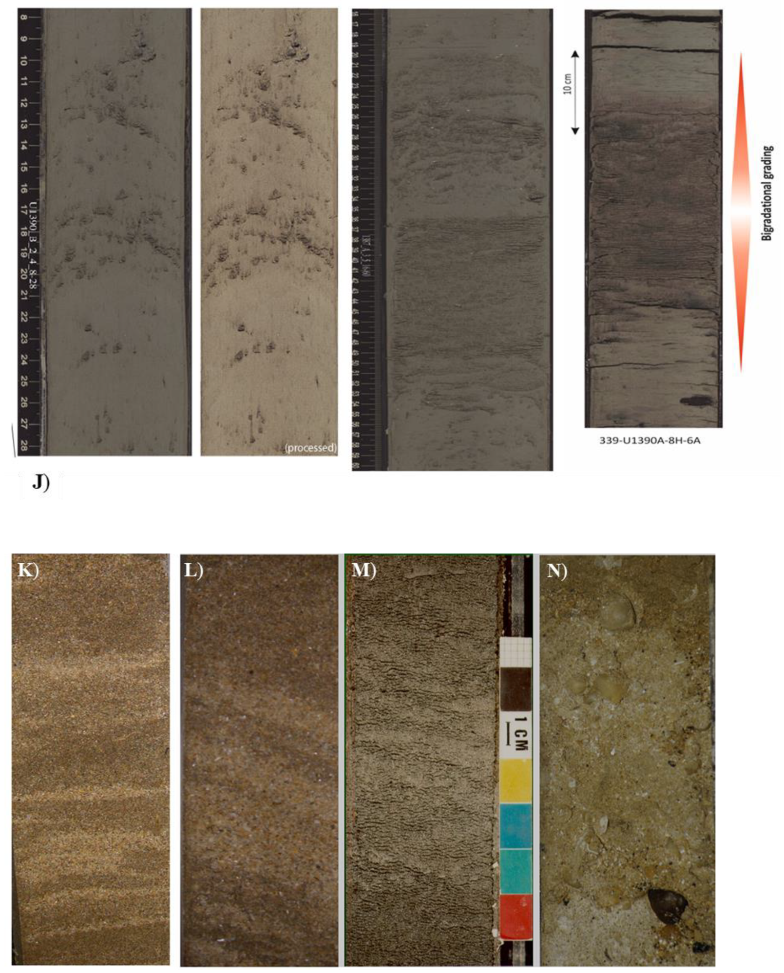 Geosciences 10 00068 g015b