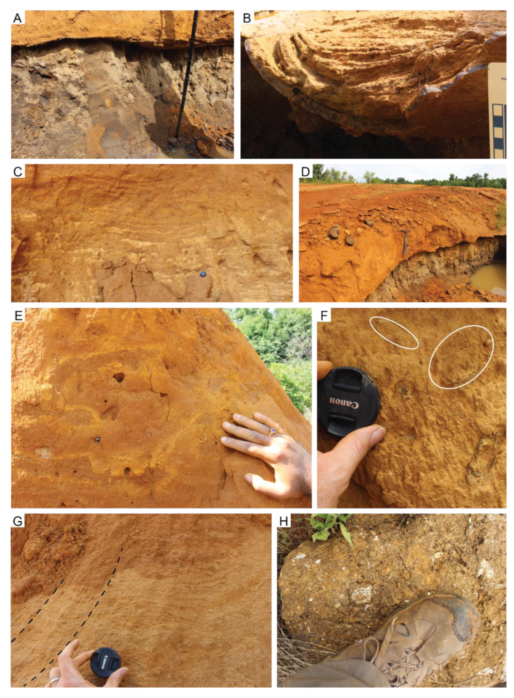 Geosciences 10 00080 g006 Geosciences 10 00080 g006