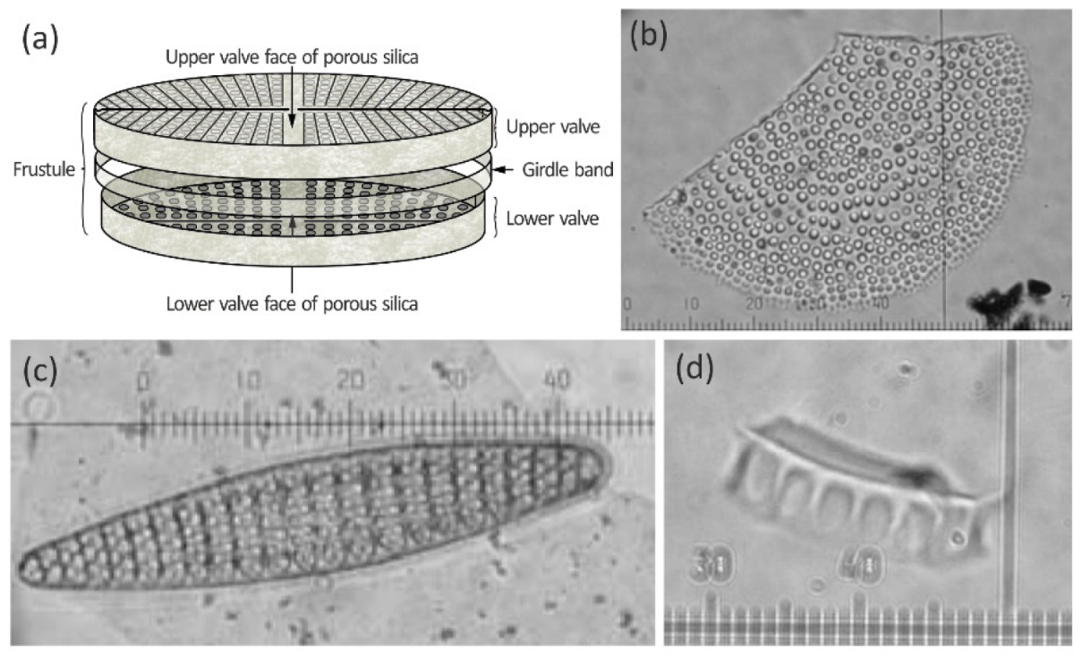 Geosciences 10 00087 g003