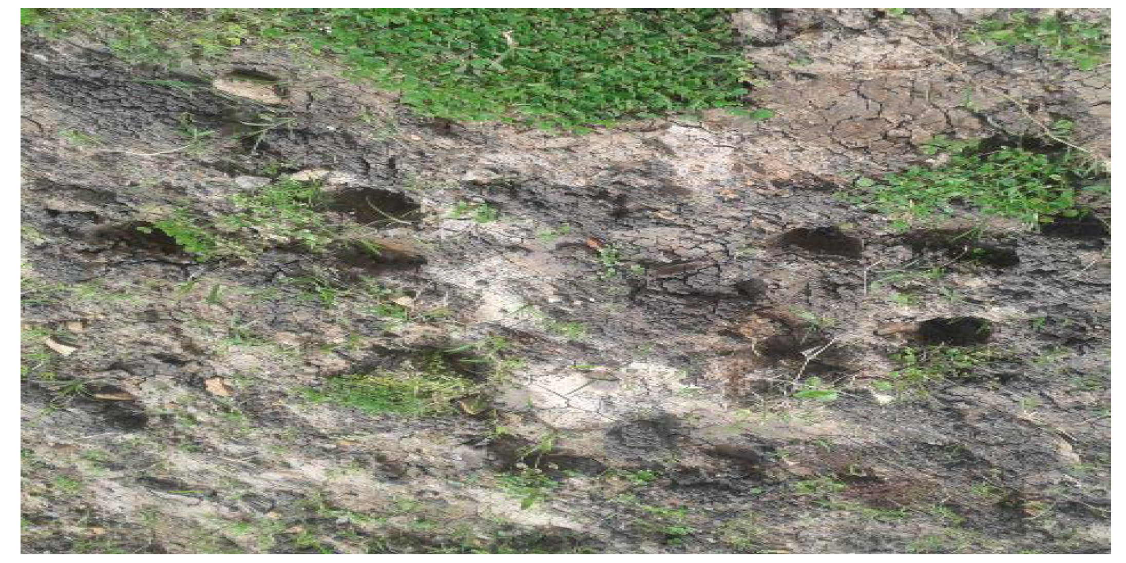 Geosciences 10 00094 g002