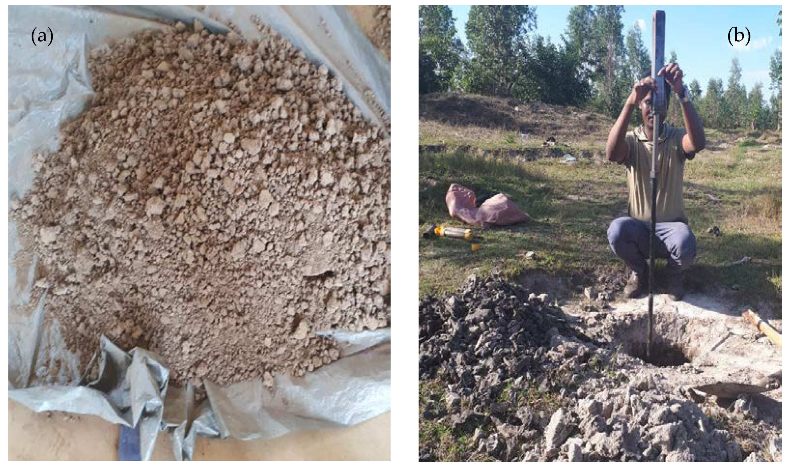 Geosciences 10 00094 g003